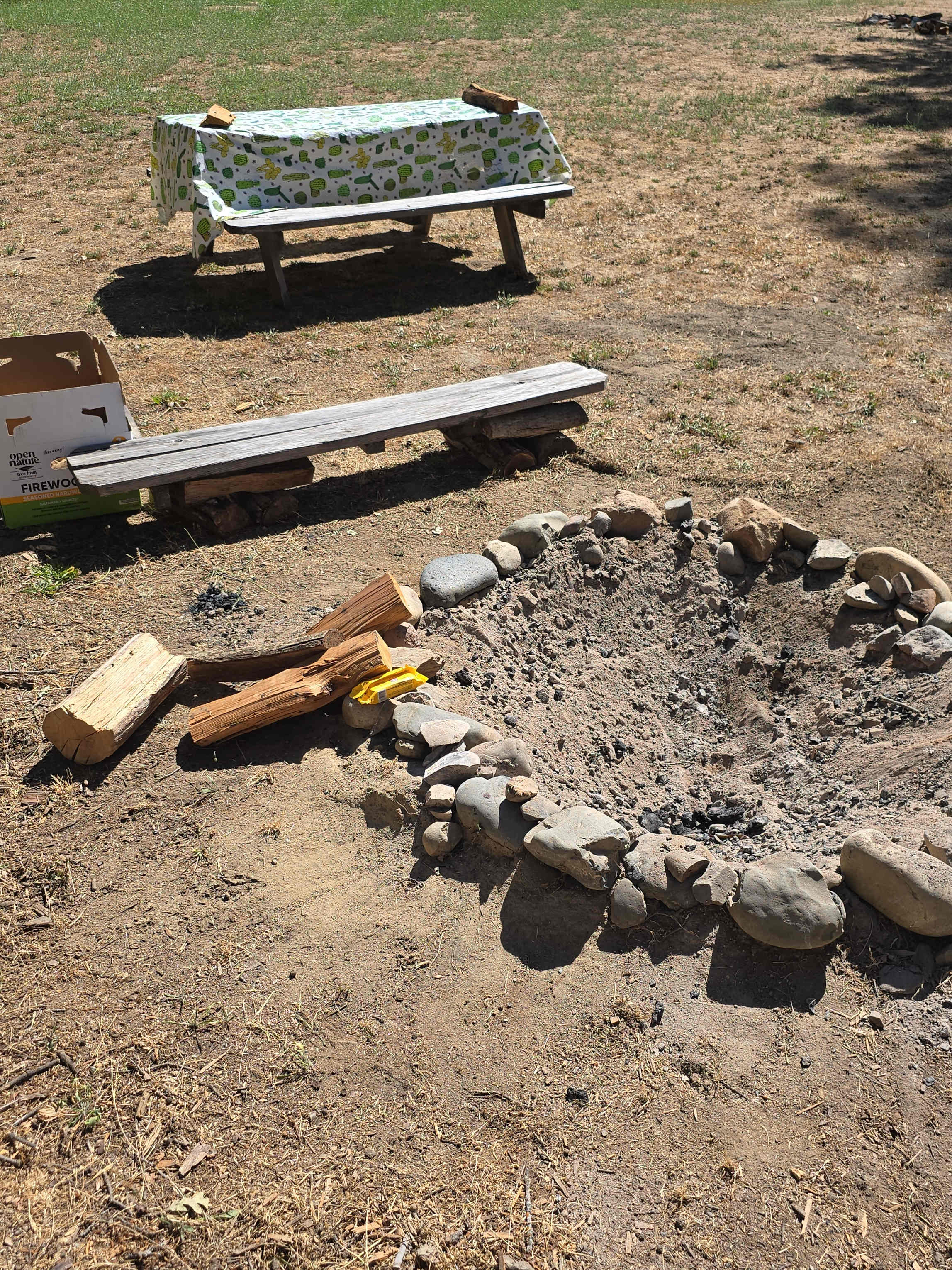 Well maintained fire pits, but probably could have higher walls for safety.  Wood available on site!