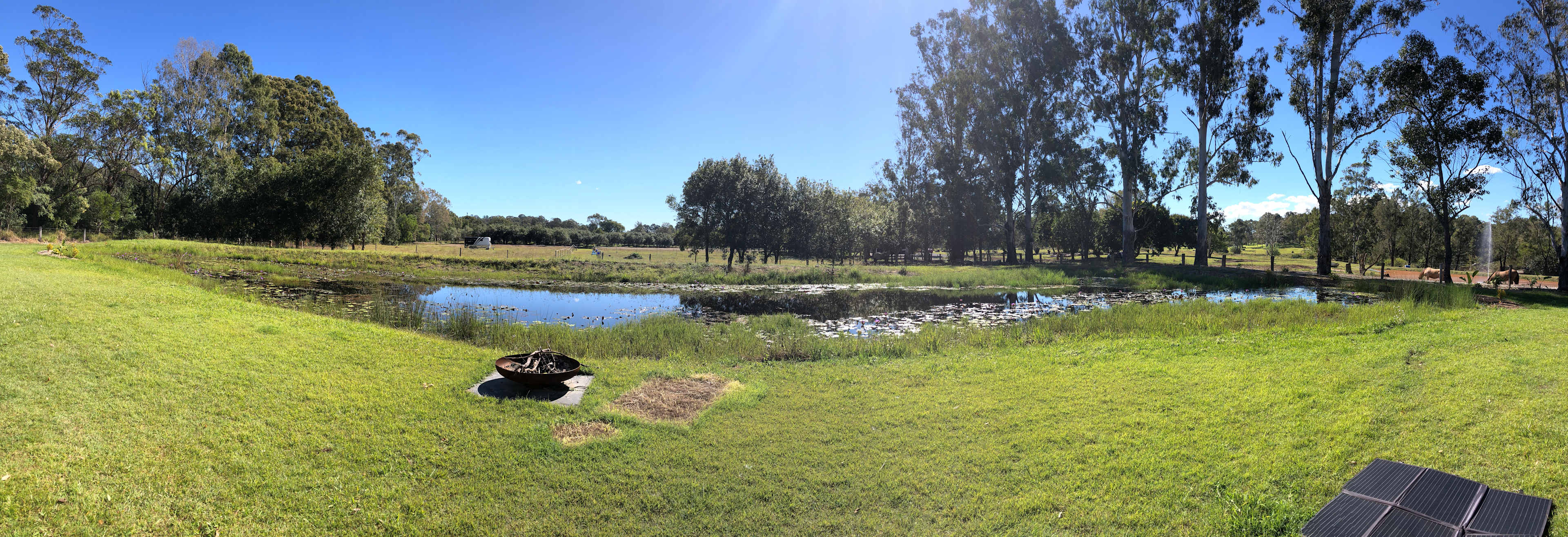 Picture of the site