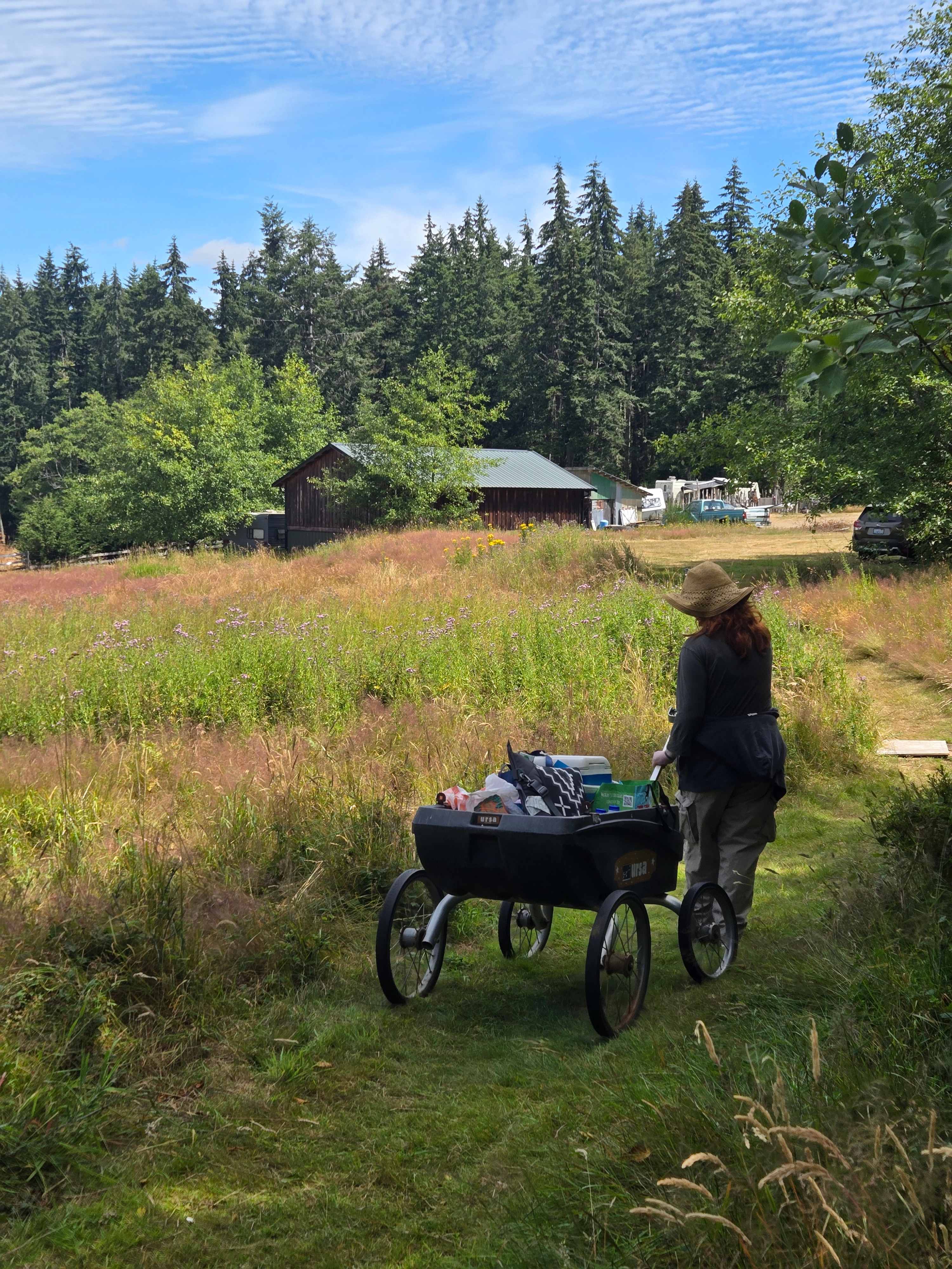 Fern Gully Camp