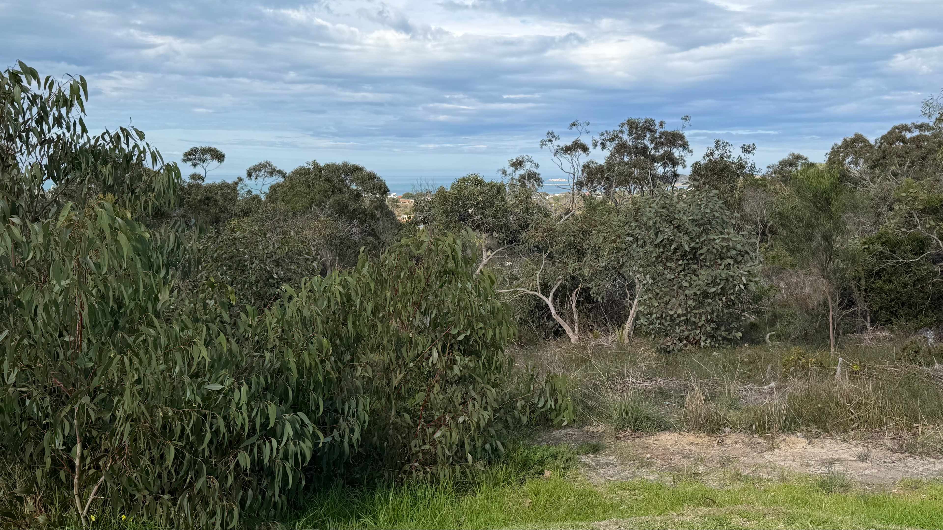 View from site 8