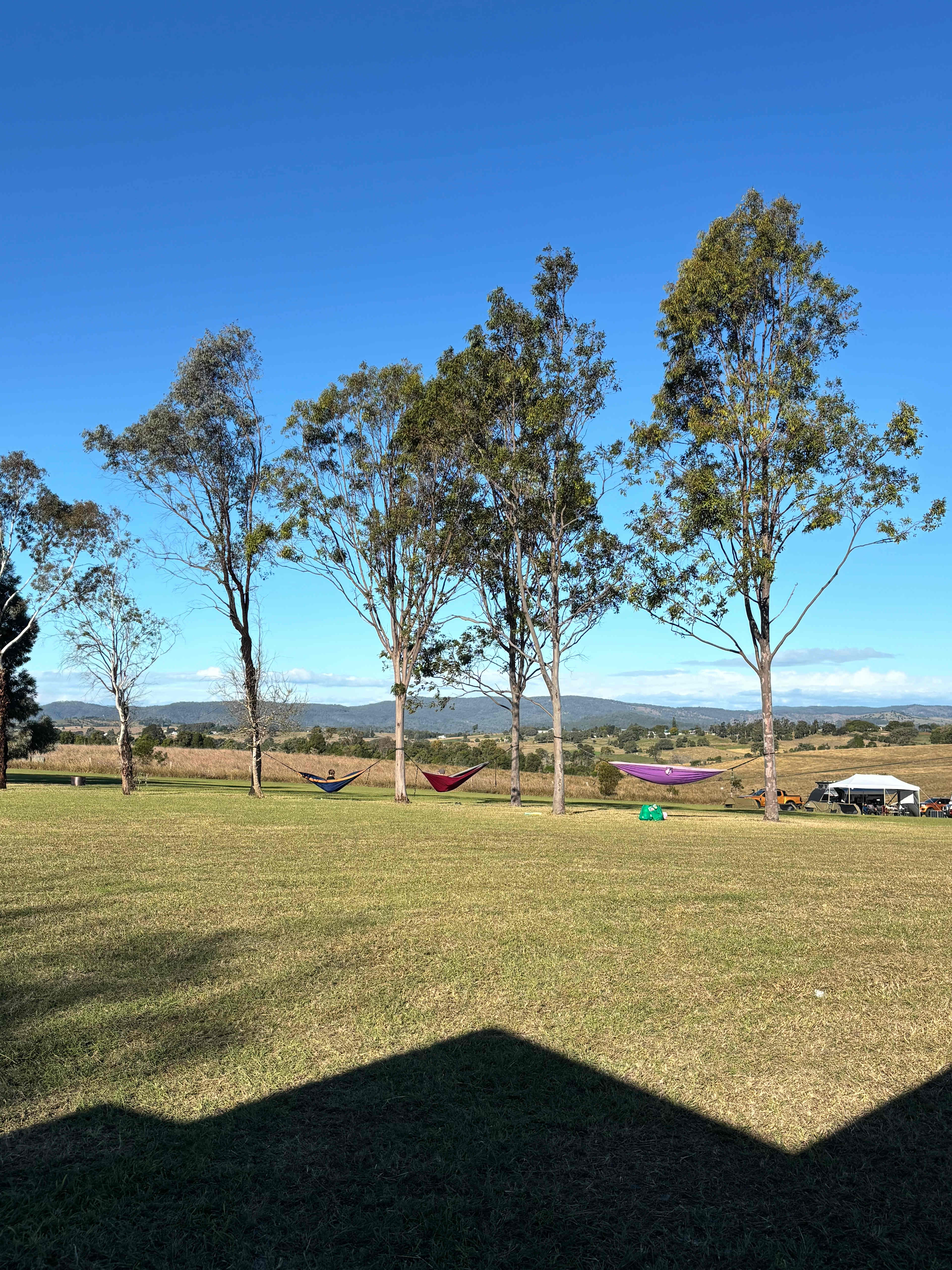 Olive View Estate - Stunning Views!