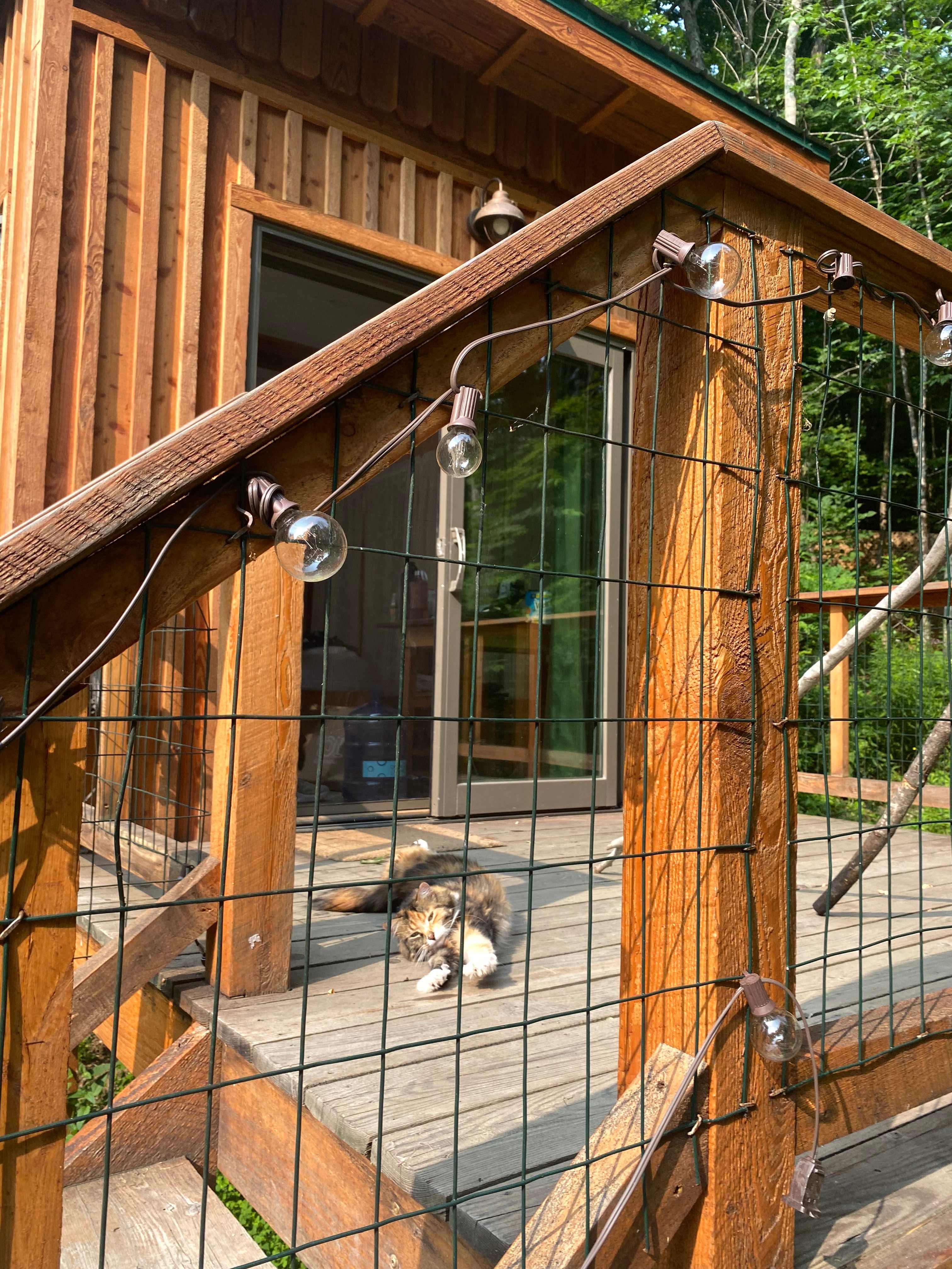 Waterfall Sanctuary & Quiet Retreat