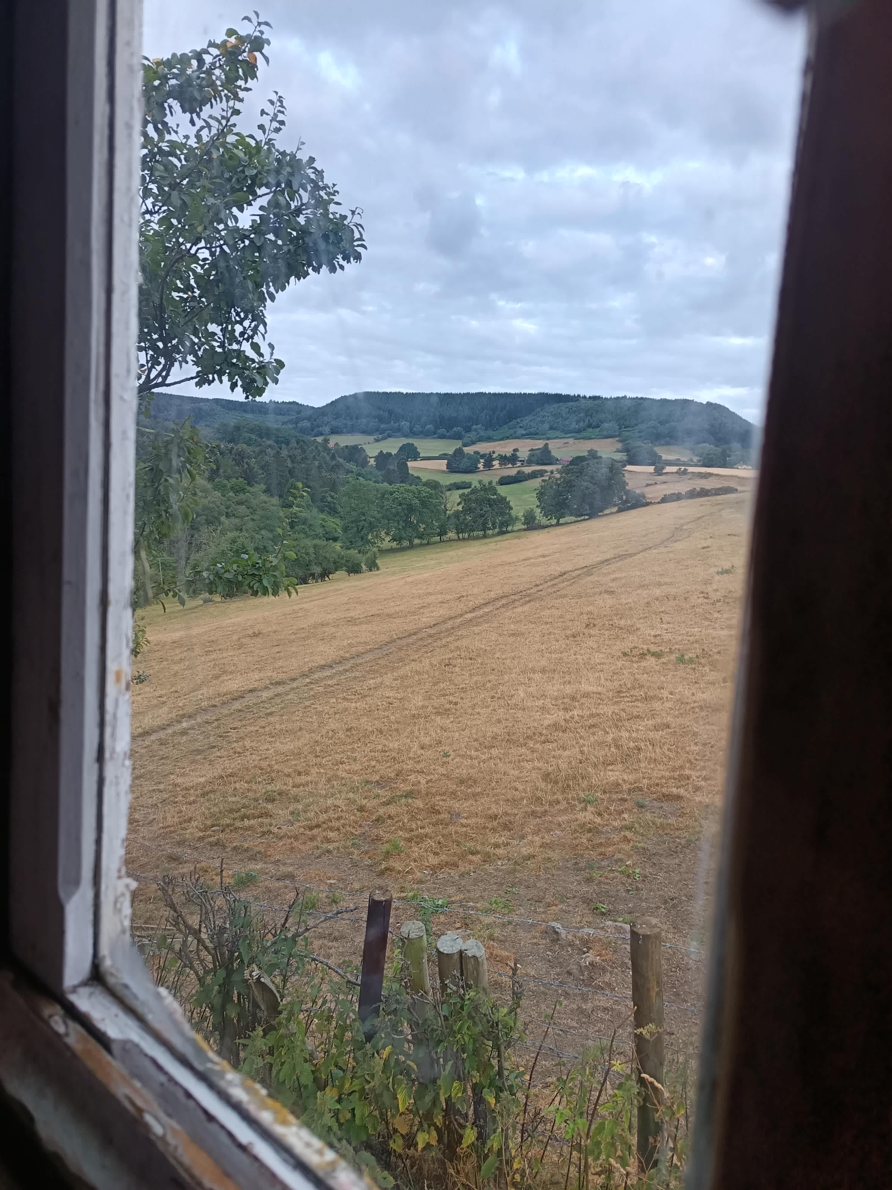 Bickley Rigg Farm Glamping Wagons