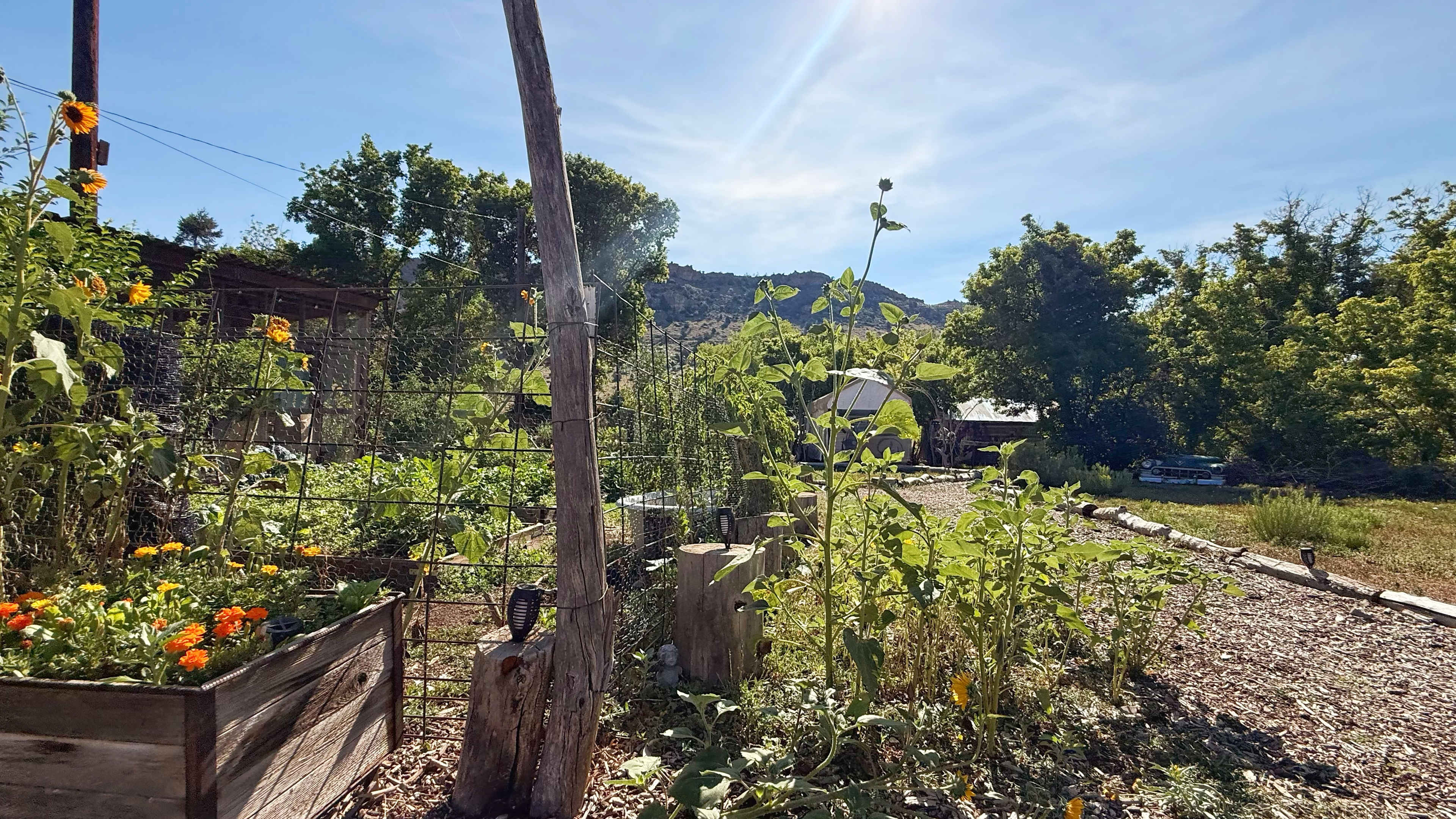 Picture of the site