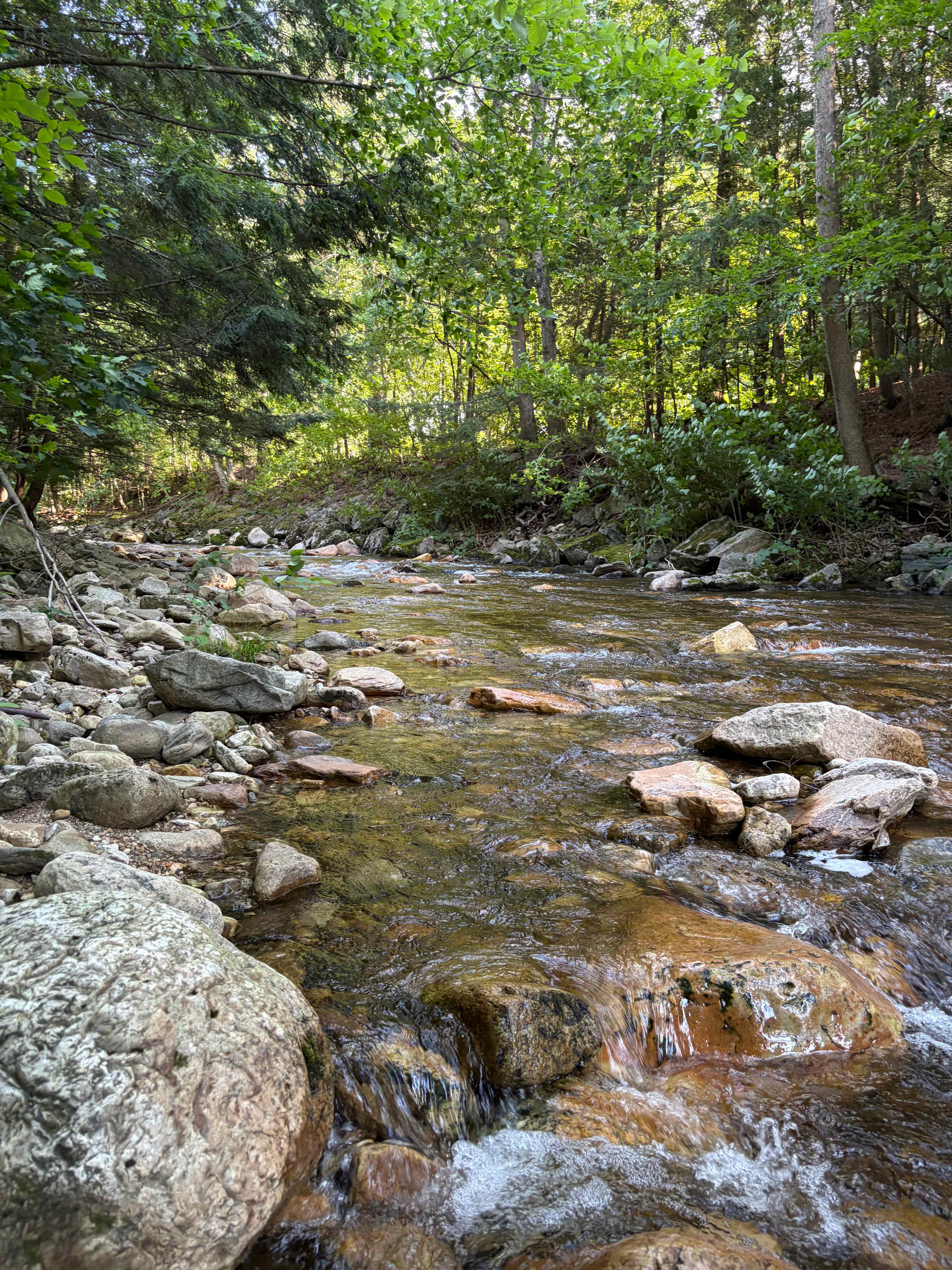 The river sings to itself about itself
