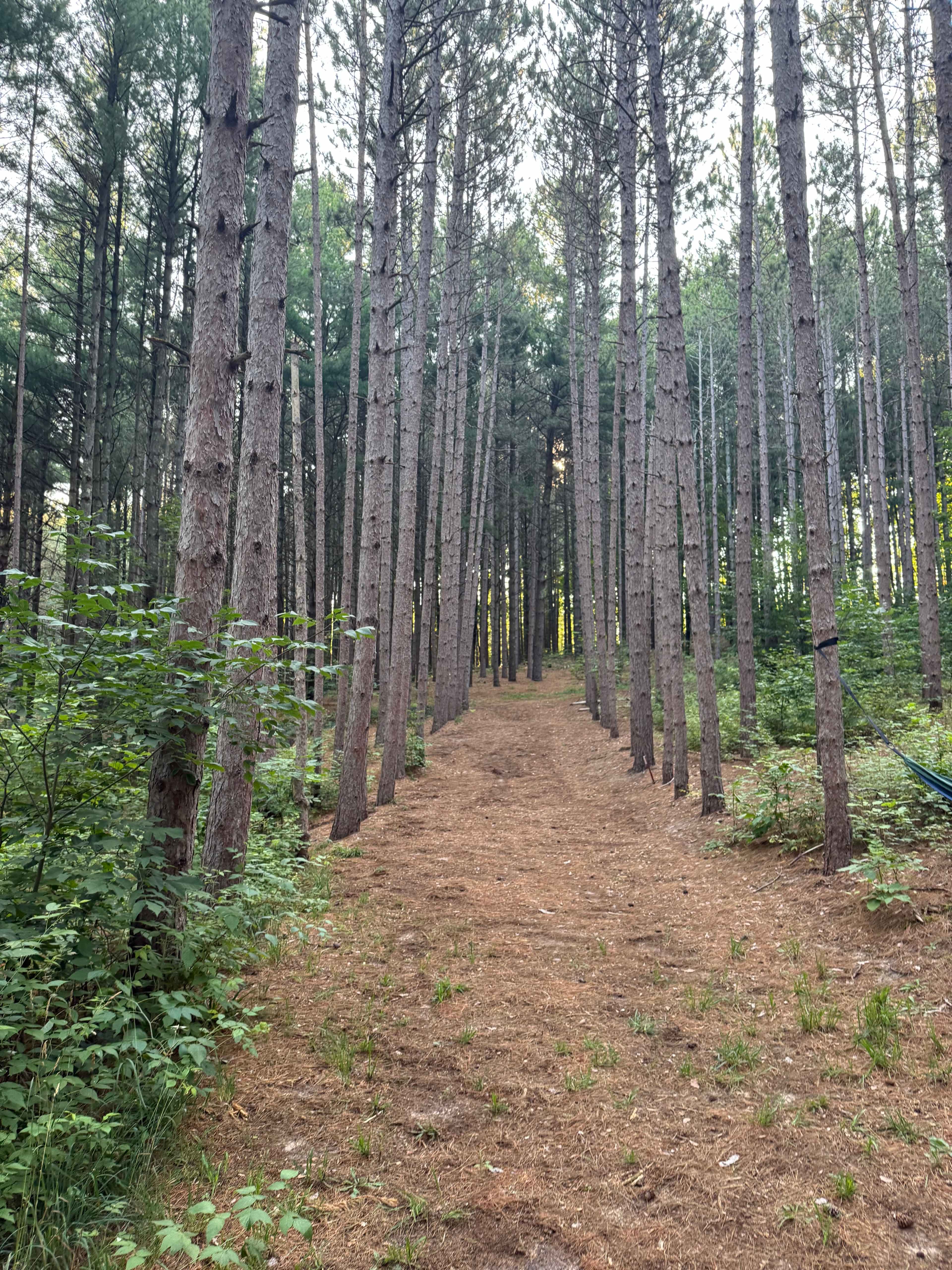 Camp Moonshadow