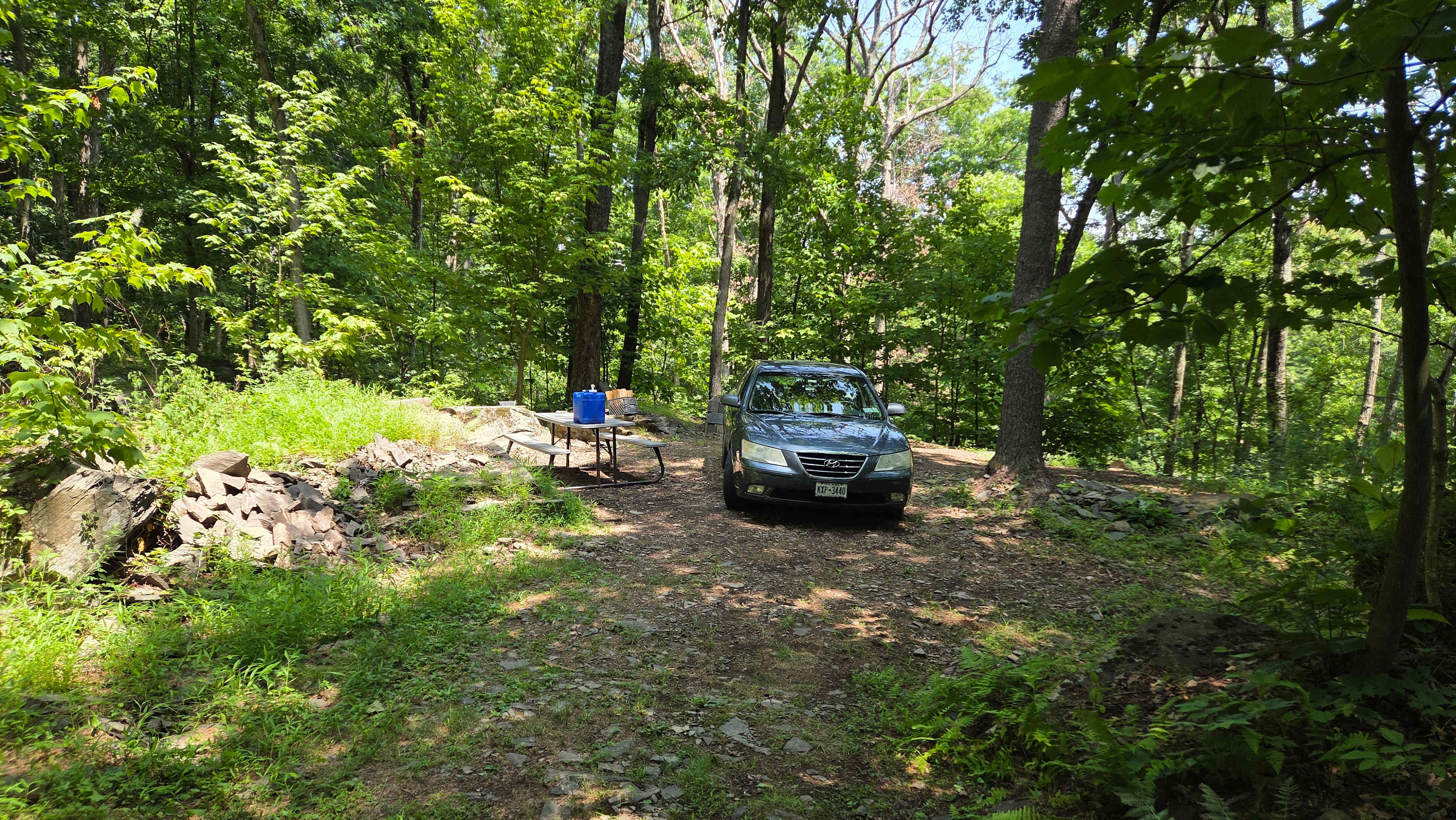 Picture of the site