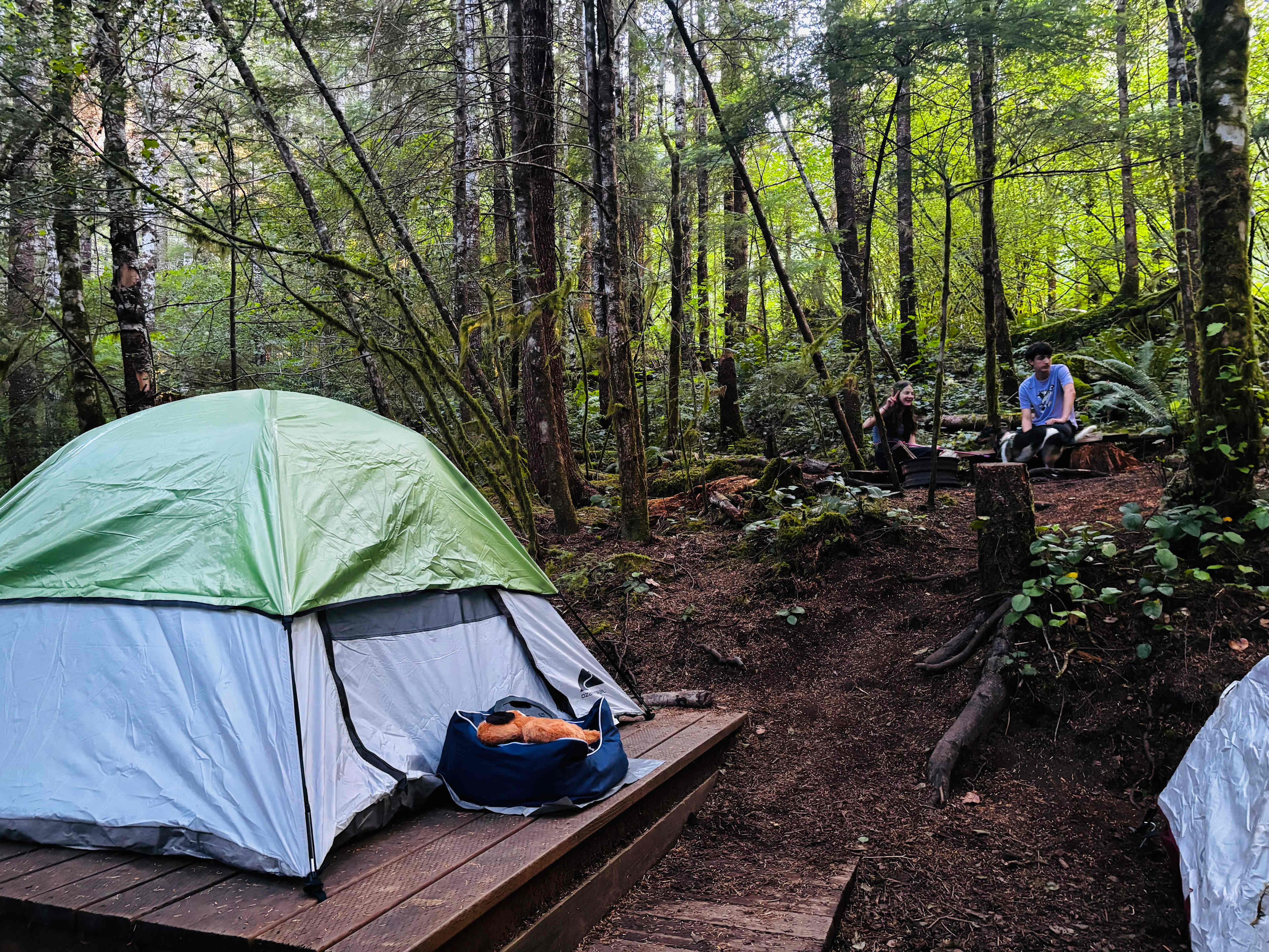 sol duc rainforest retreat