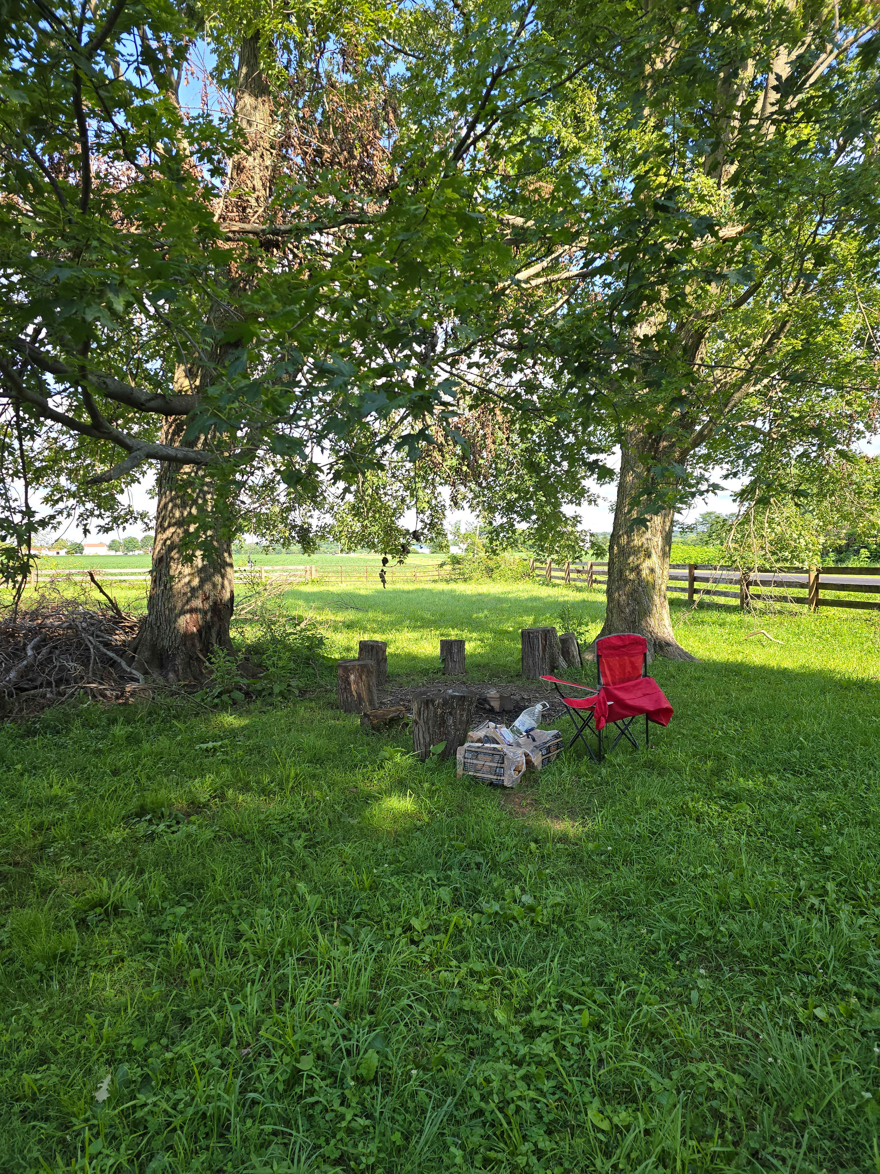Camping with Unruly Goats