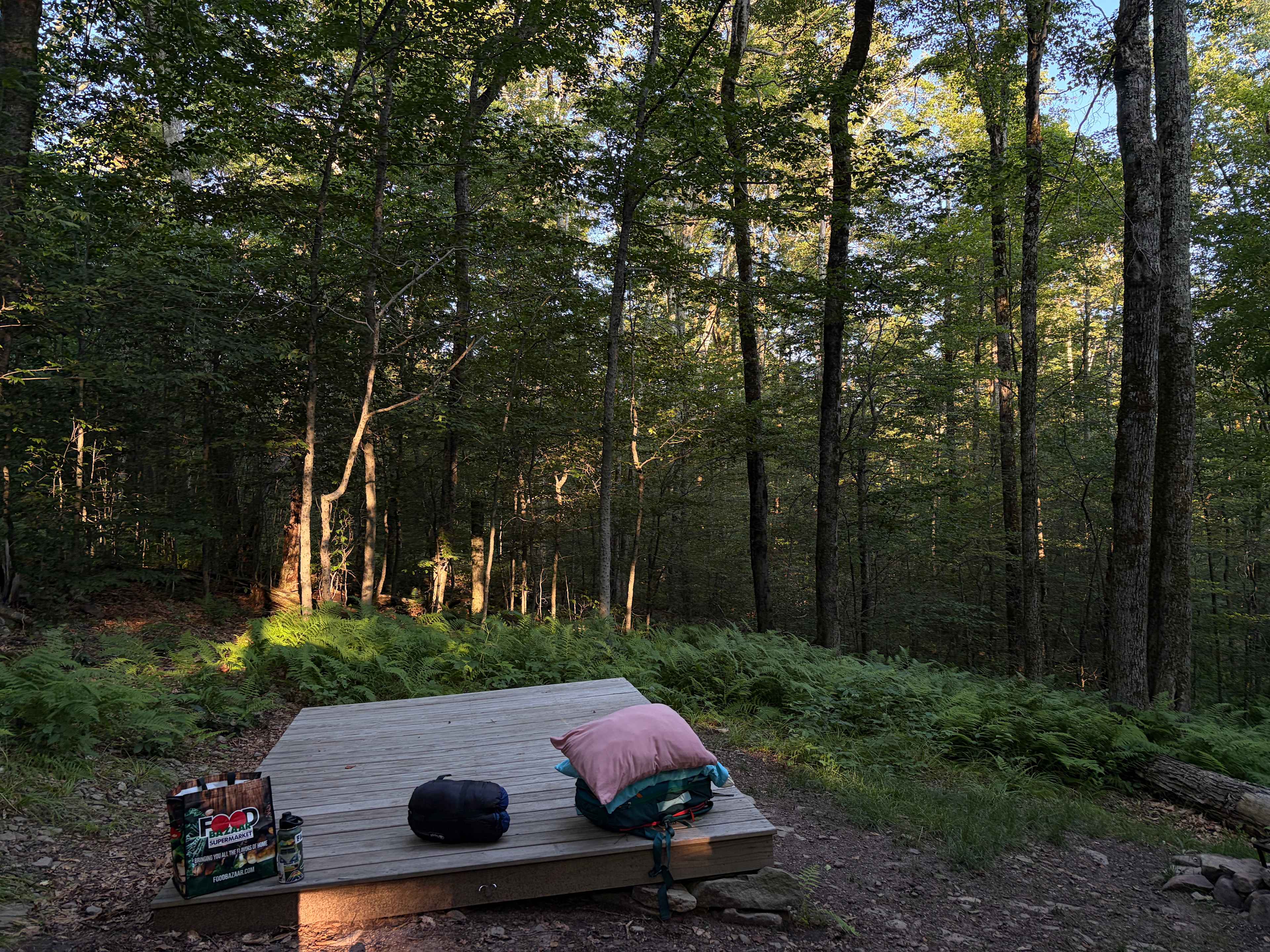 Burr Oaks Forest secluded campsites