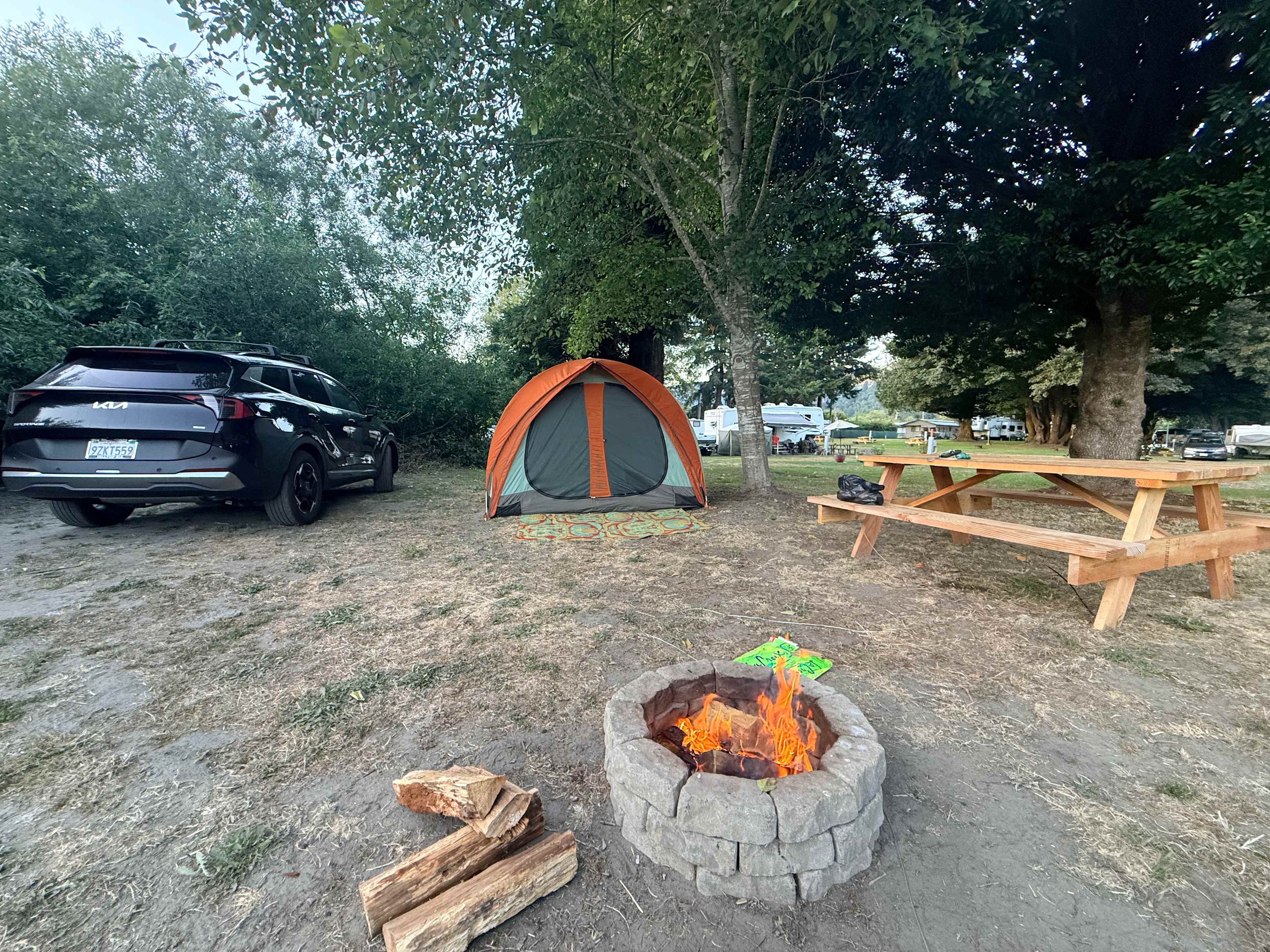 Picture of the site