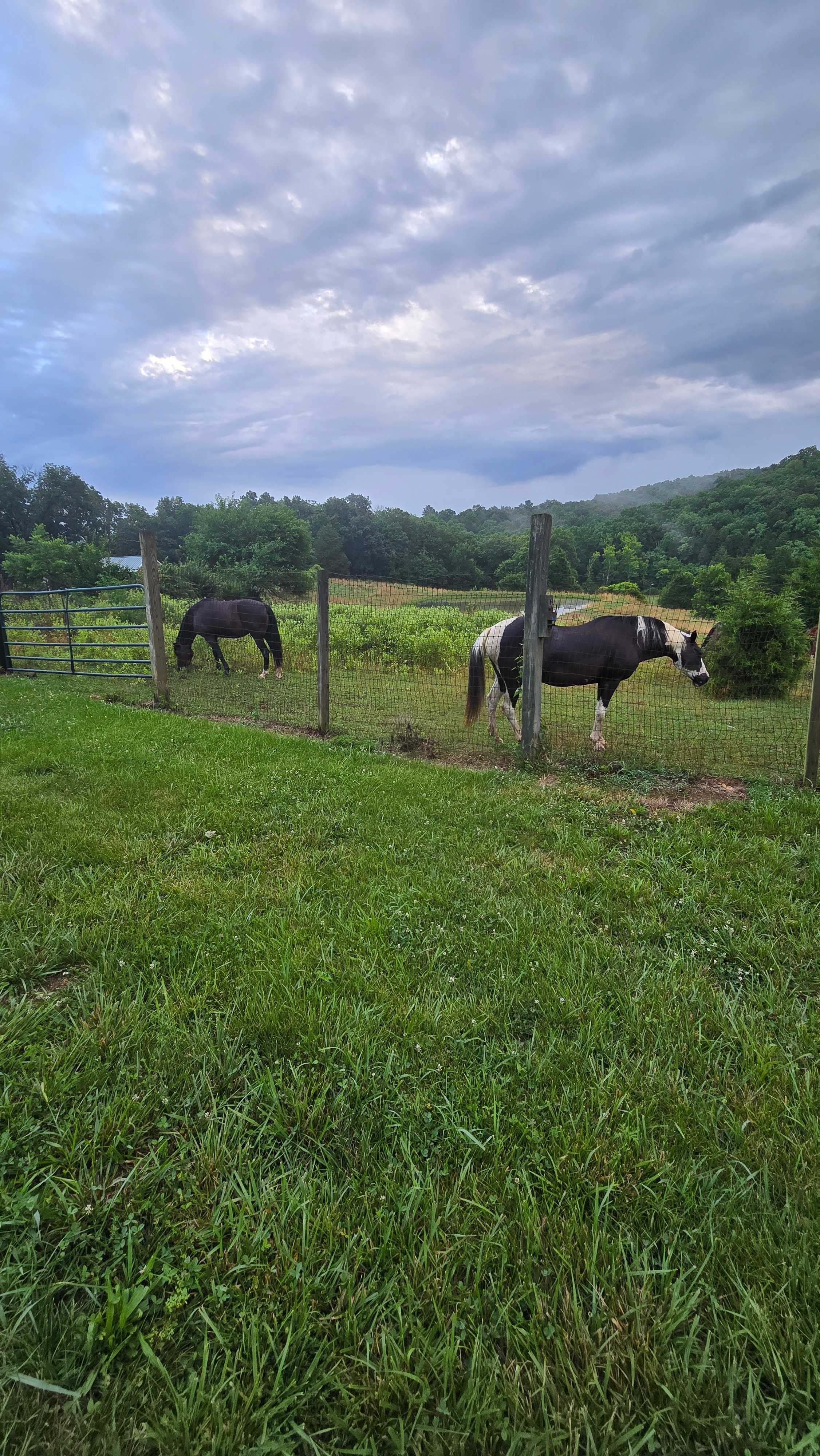 Sudden Valley Ranch