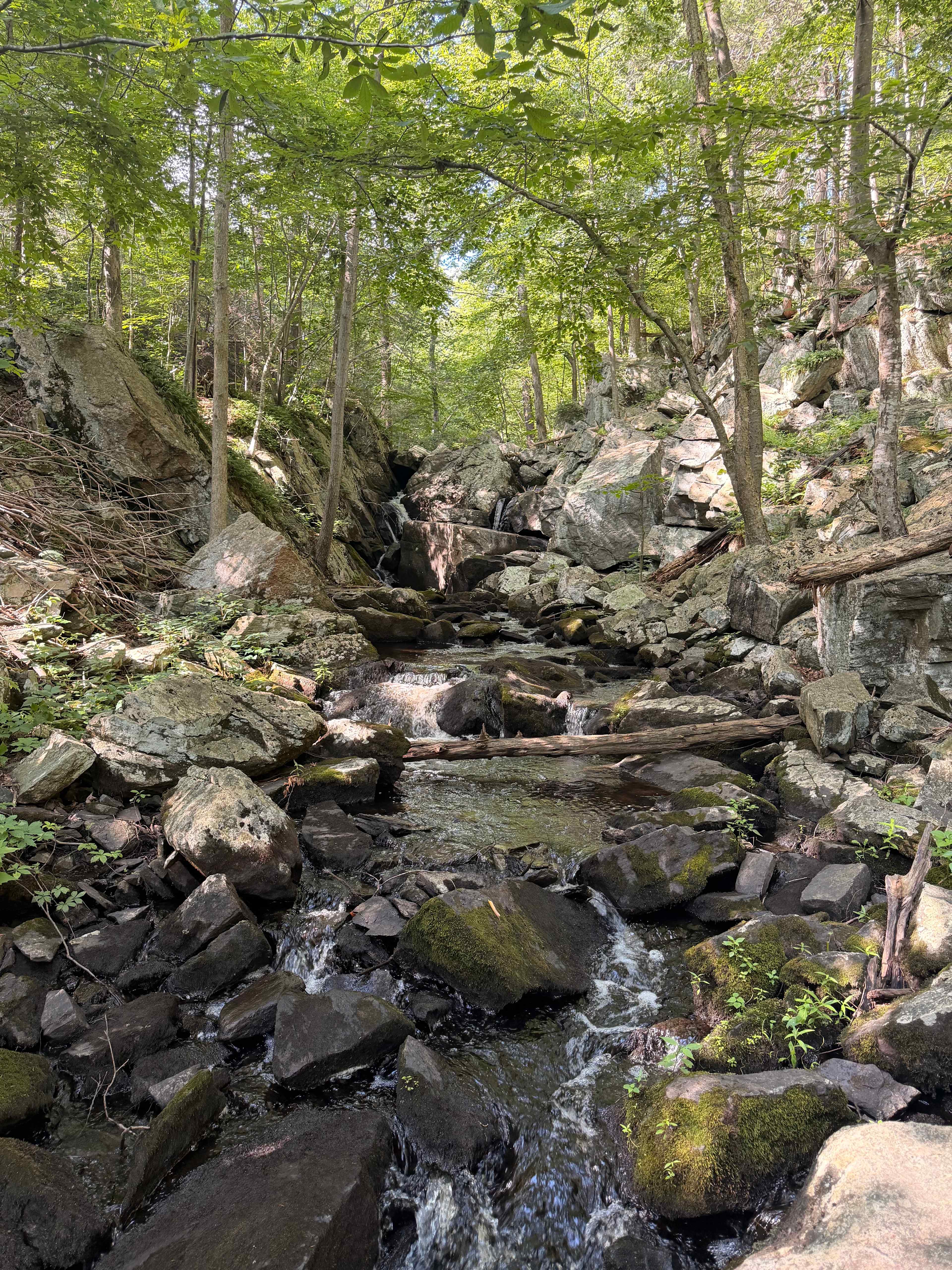 Waterfall, 10 minute “hike” to it