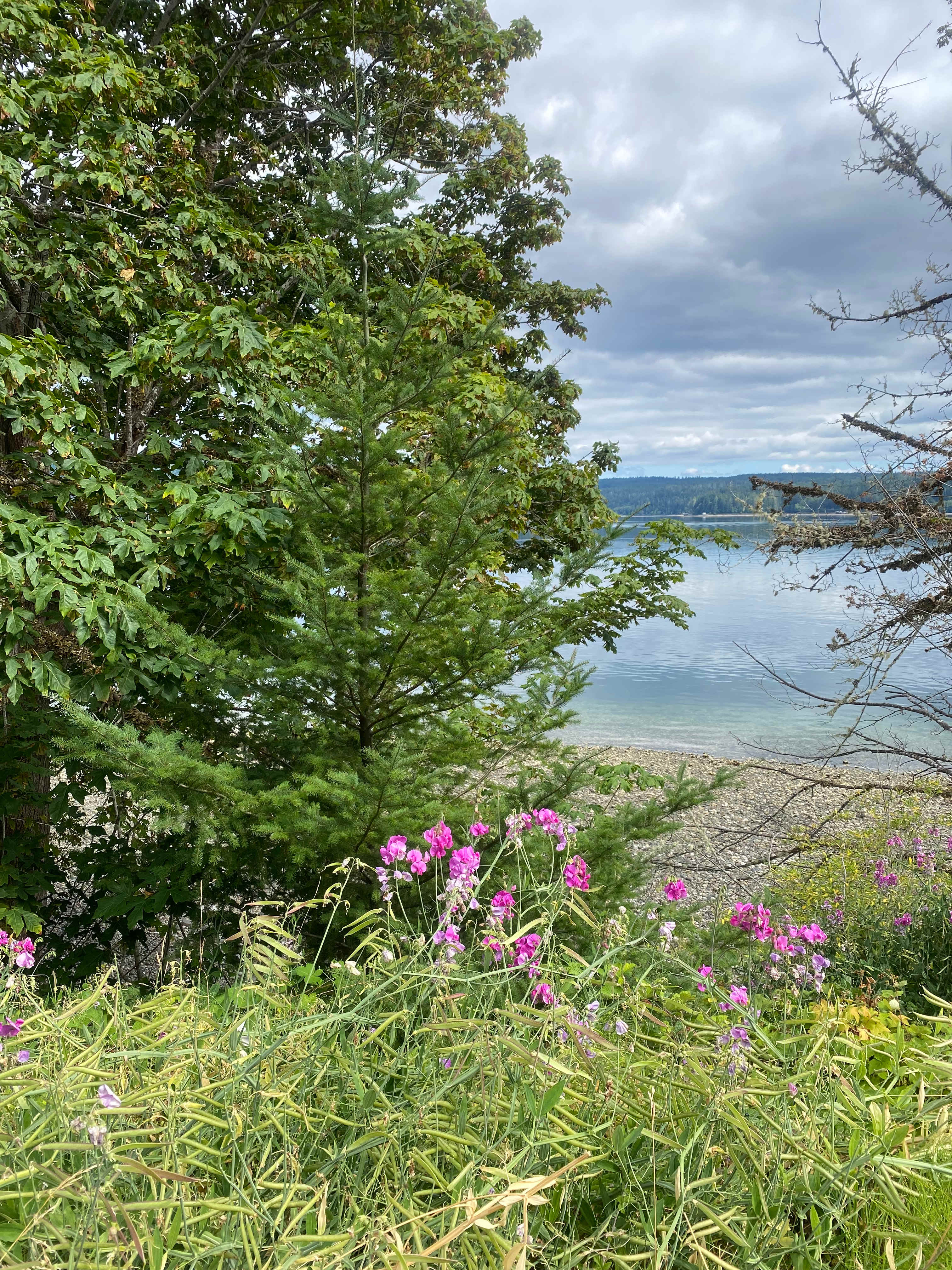 Shadow Mountain RV & Campground