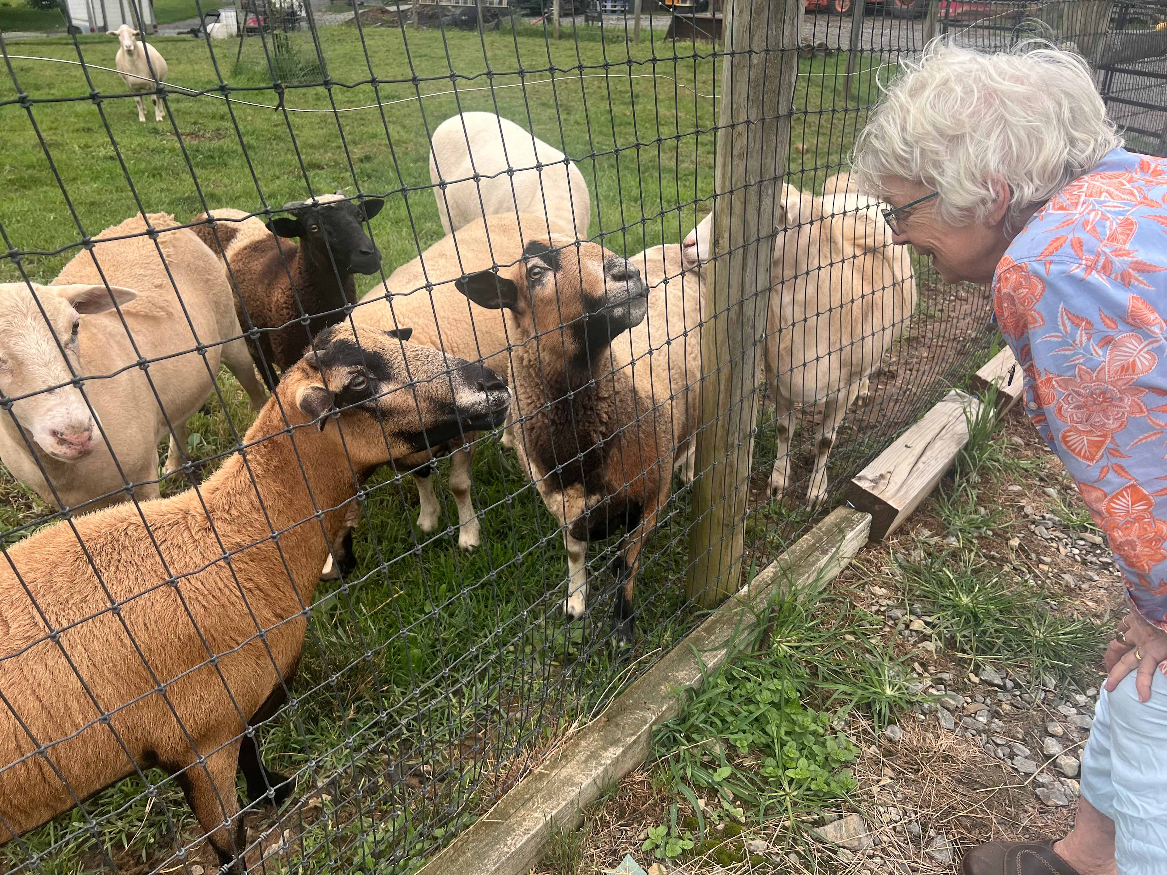 RugbyCreek Pet Friendly Rentals