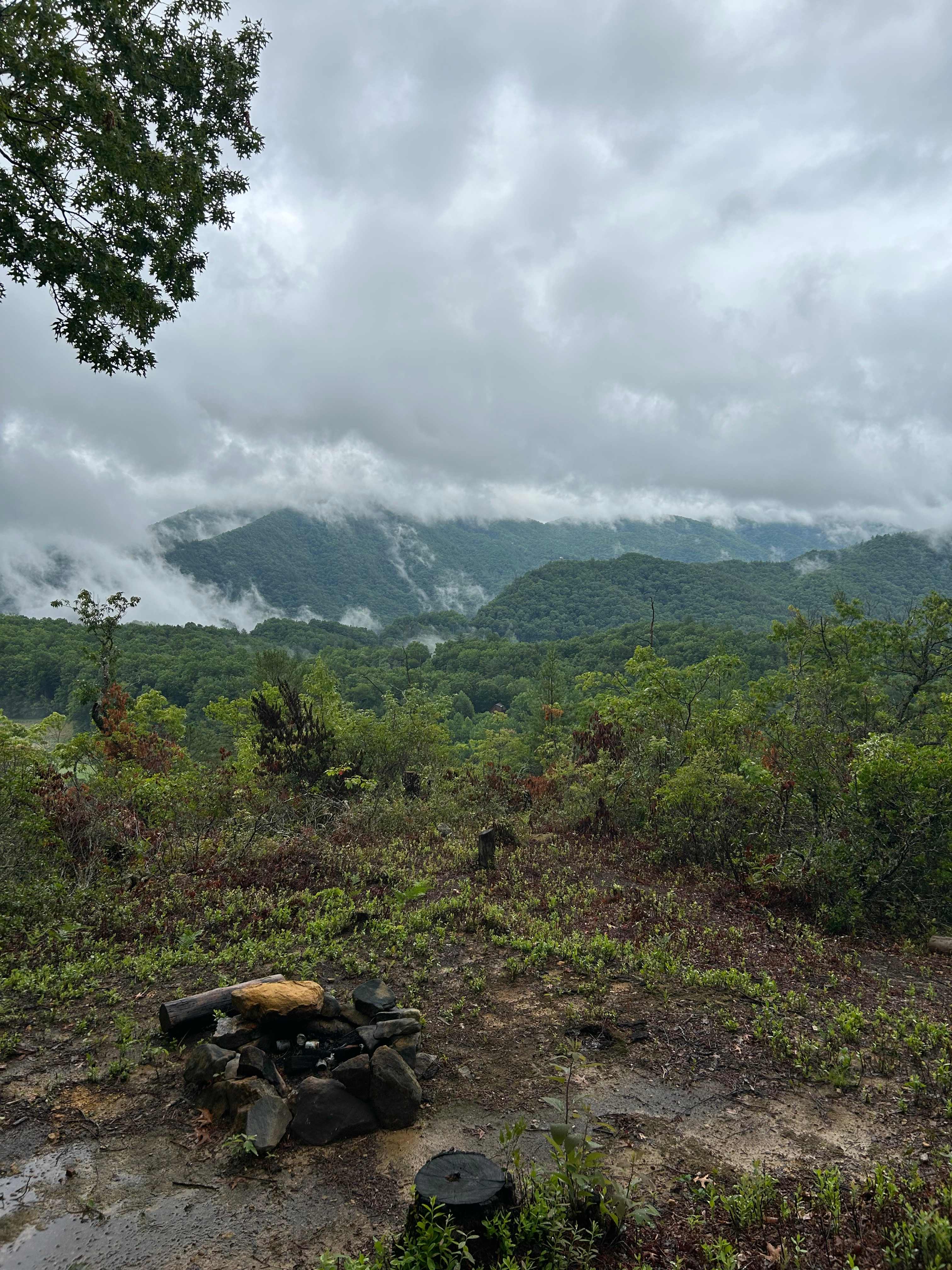 Overlook view