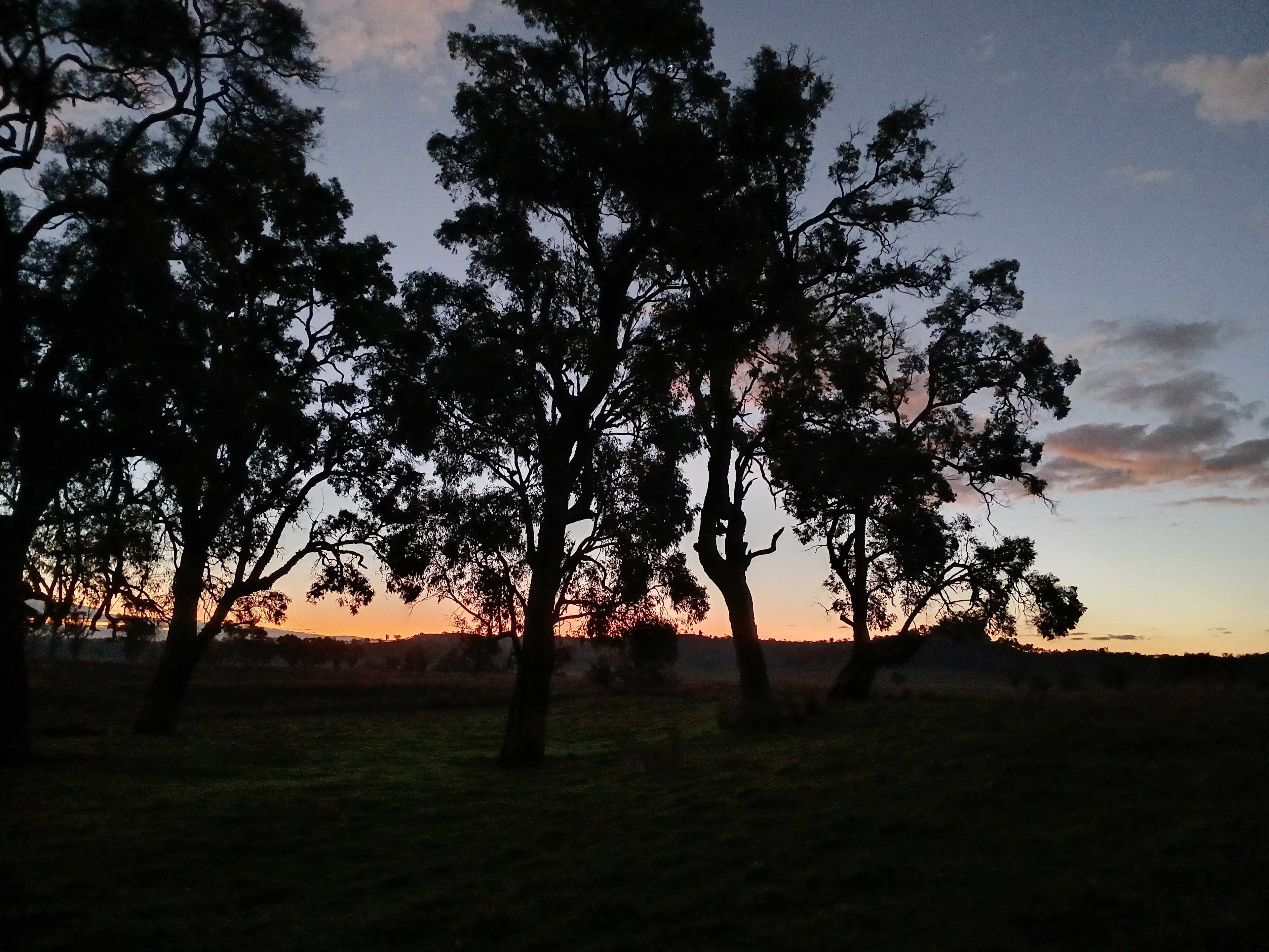  3A Camping Experience | Tamworth Region  