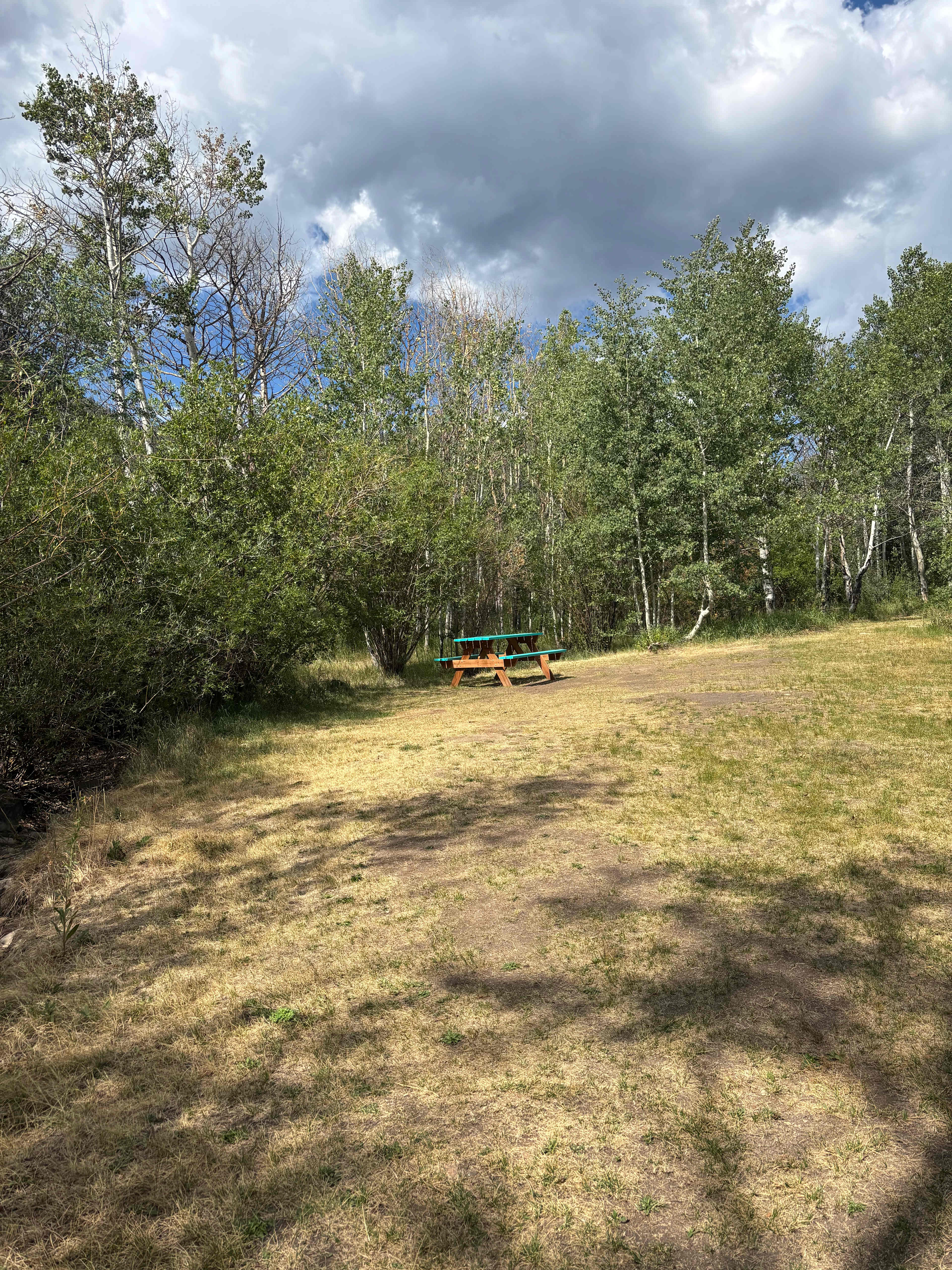 Field for dog and picnics