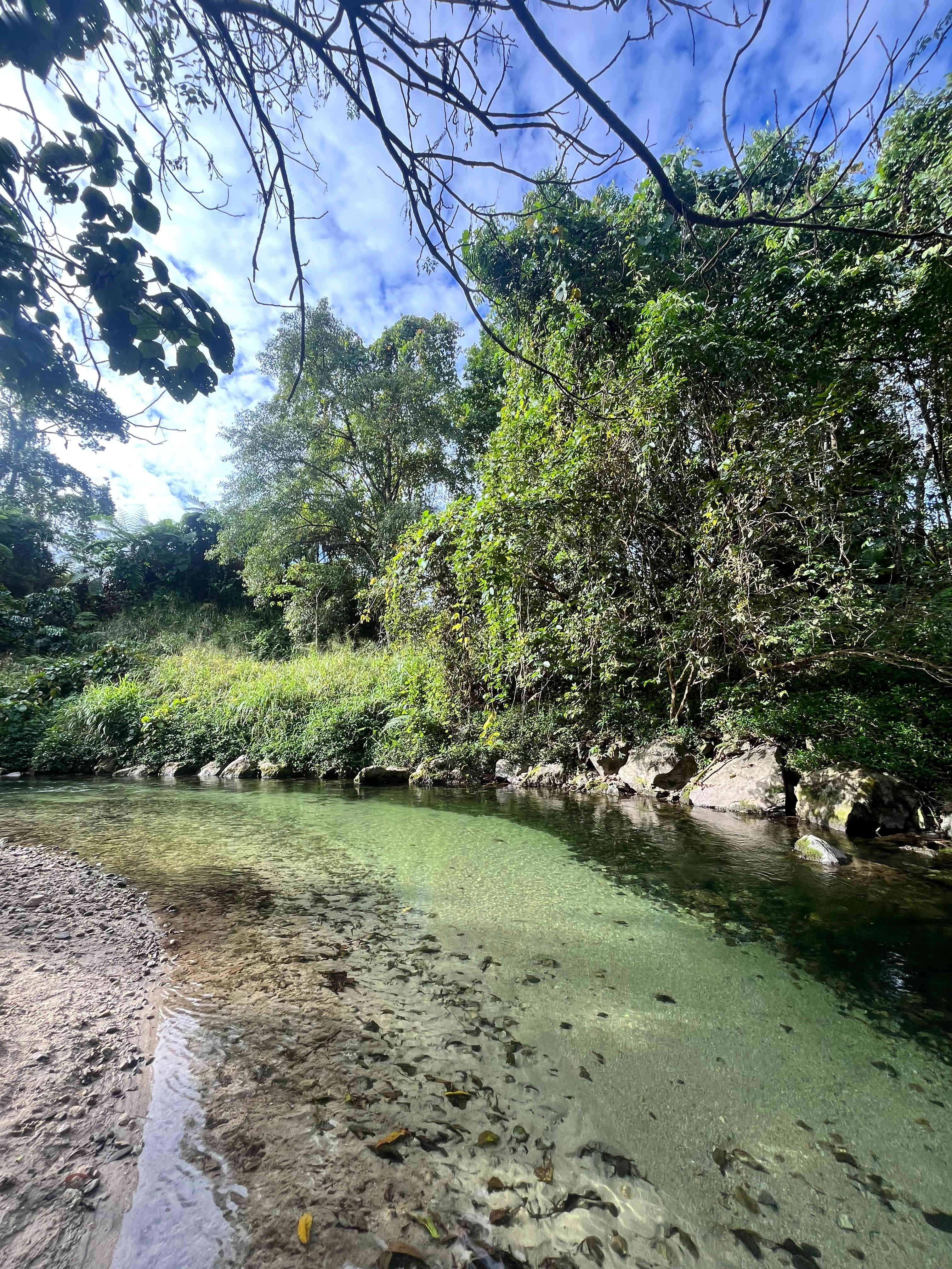 Paradise Camps