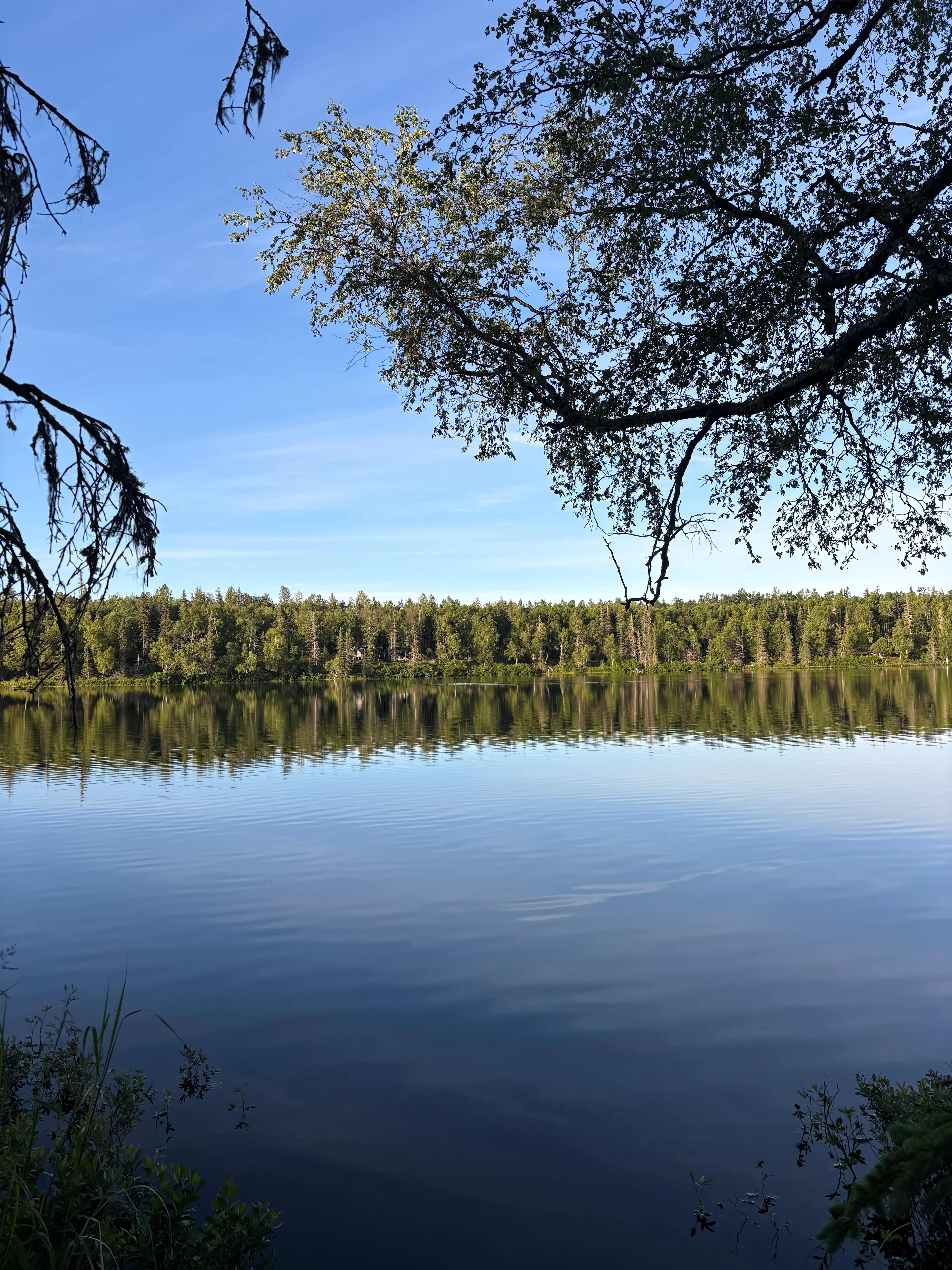 Evenson Heritage Lodge in Kenai