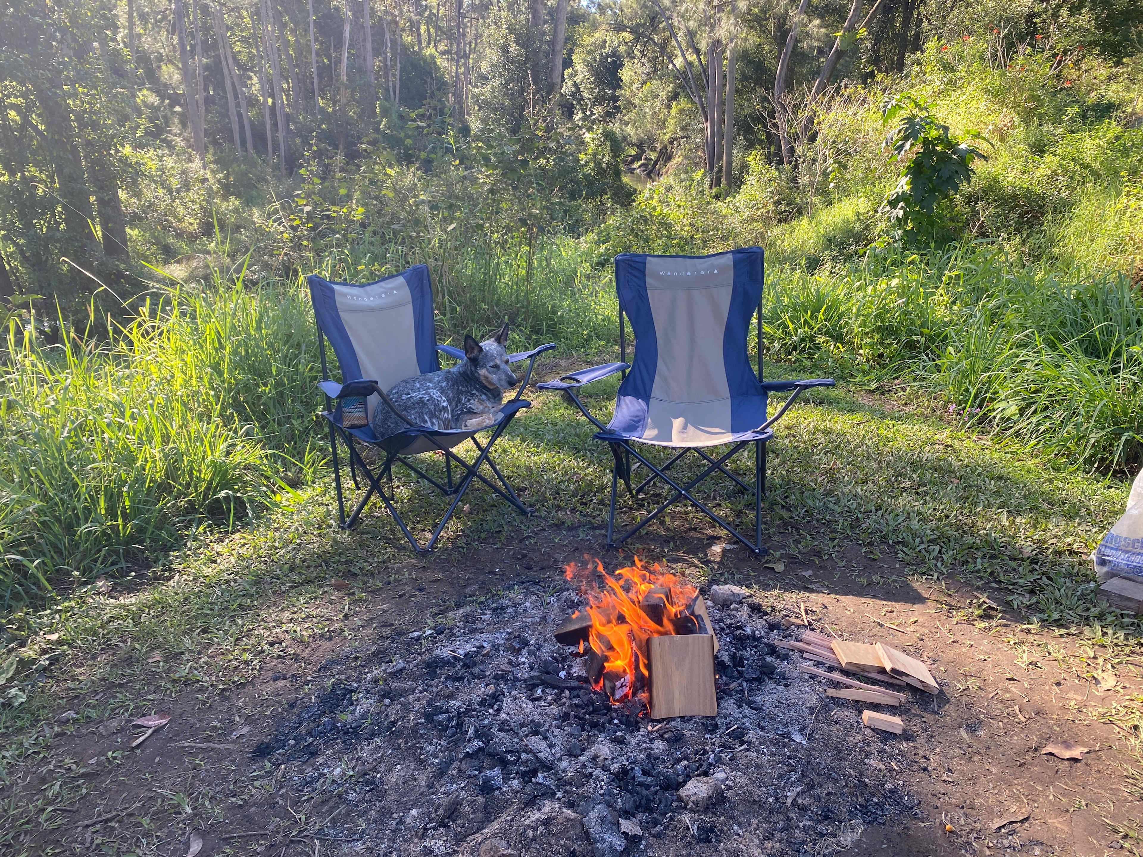 Windmill Creek Camp