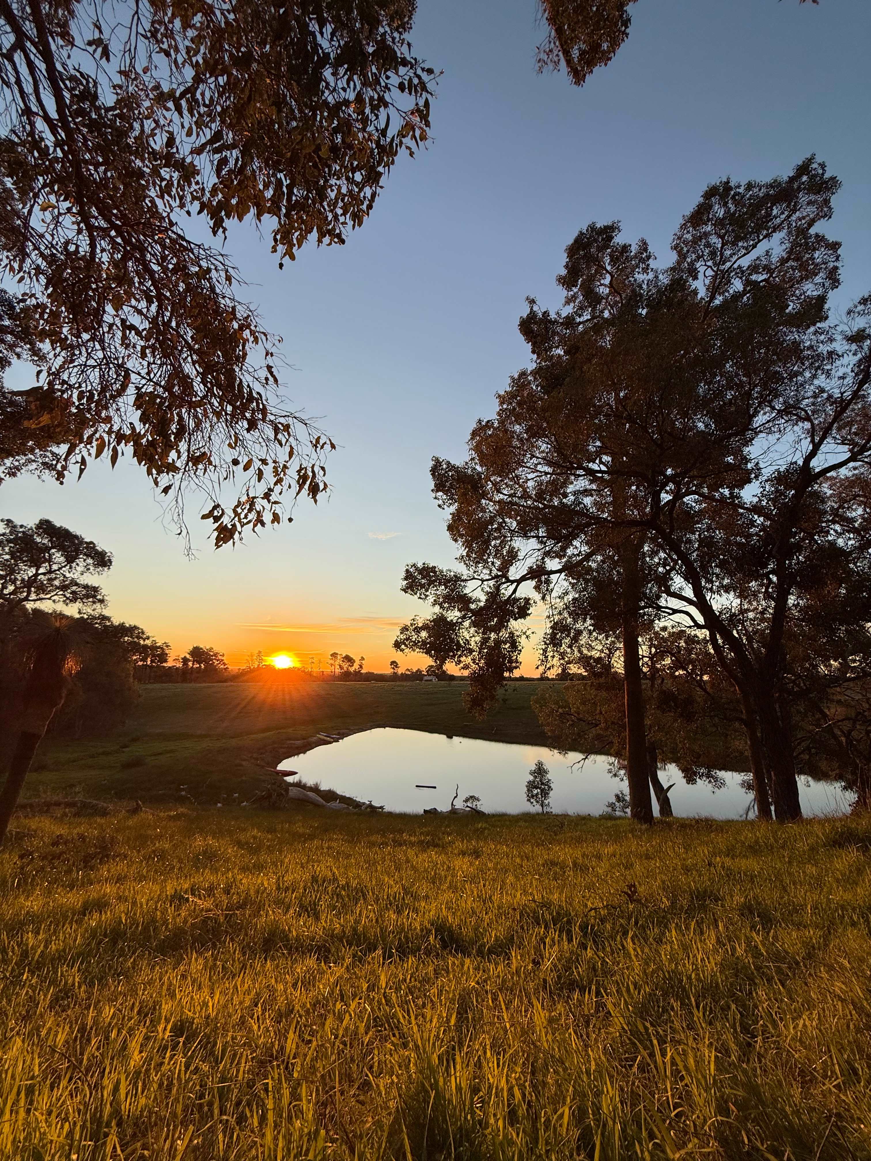 Jacaranda Hill Farm