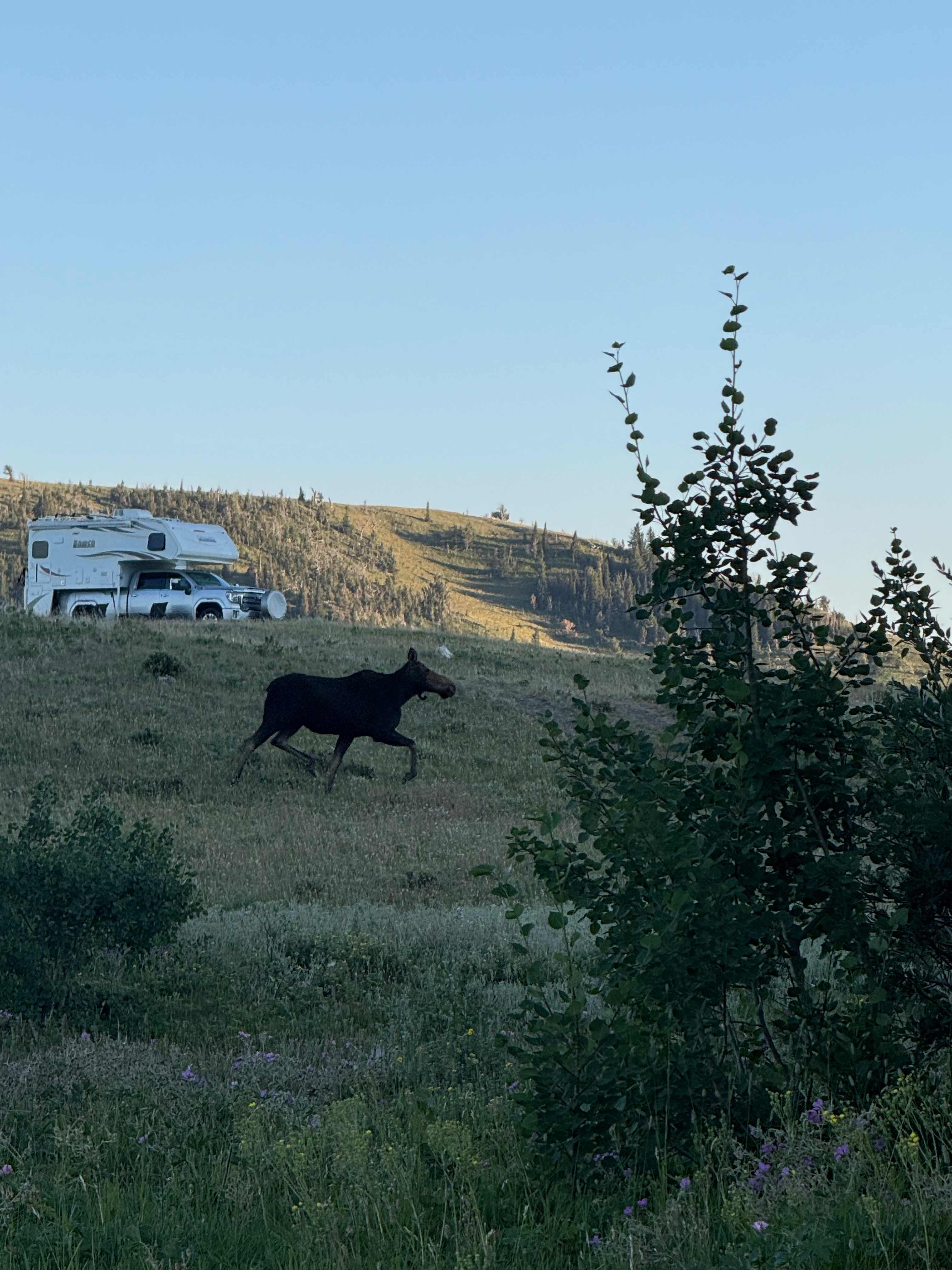 Home Gun Ranch Primitive Camping