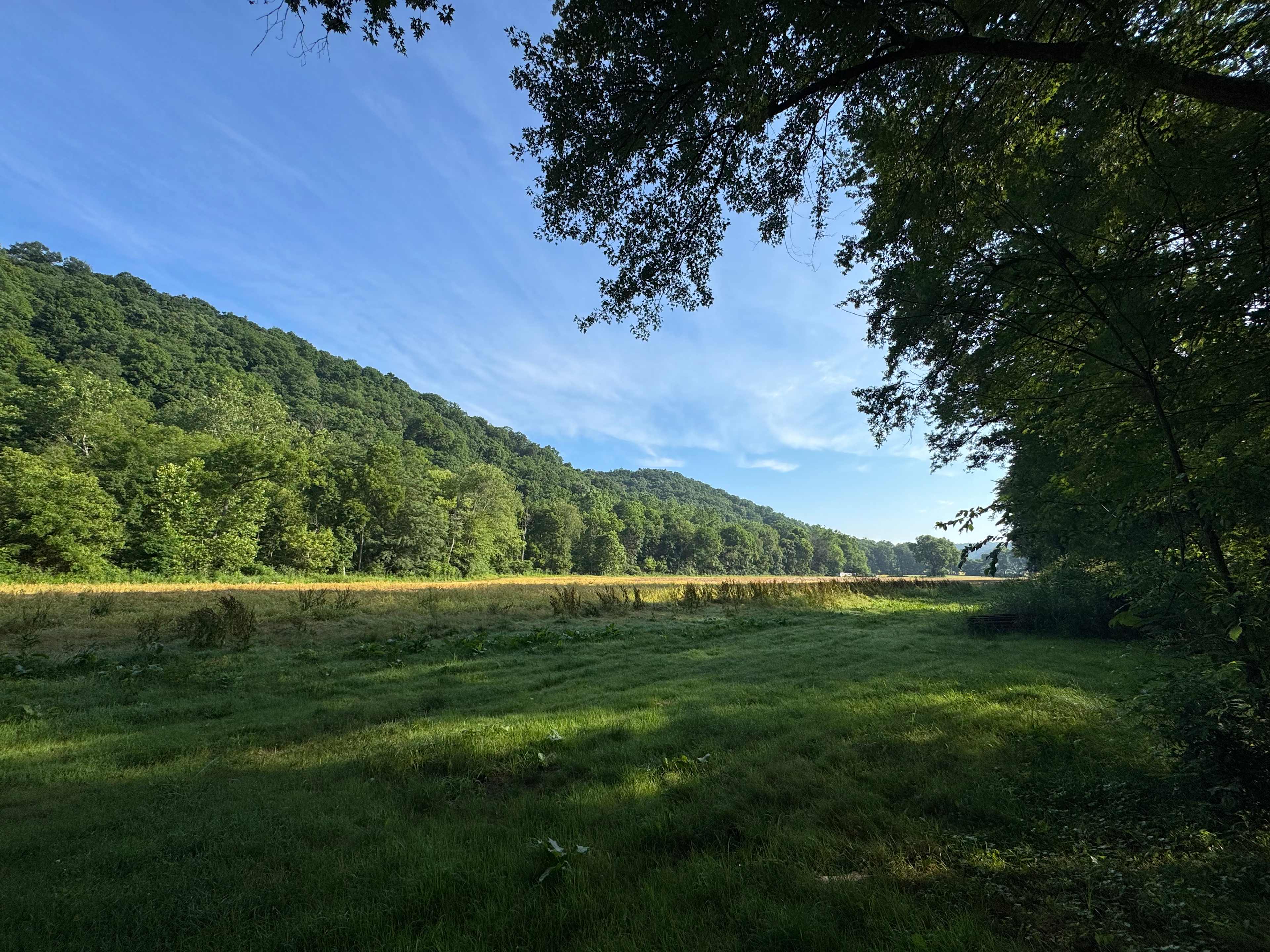 The land.