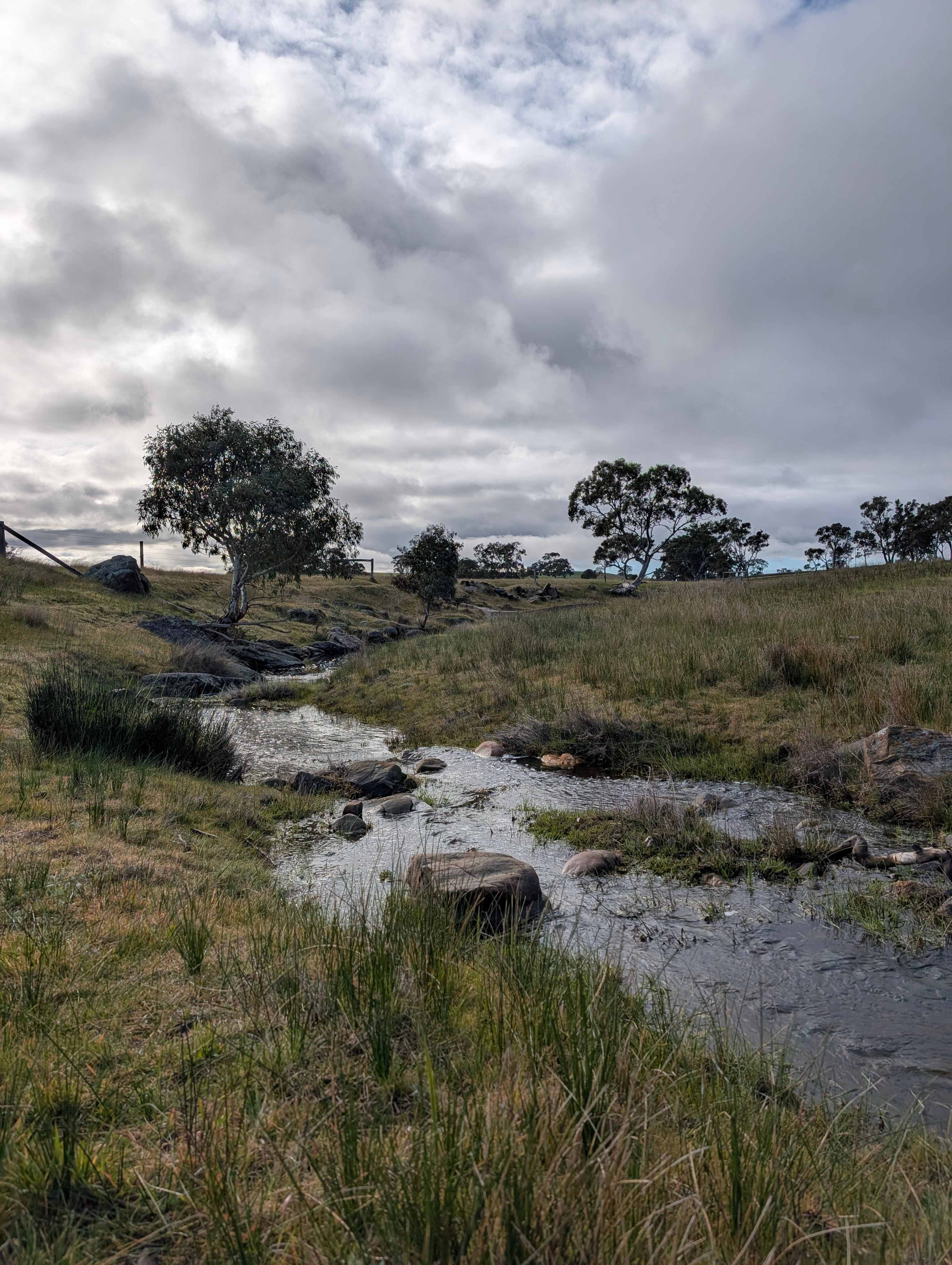 The Valley of Eden - Barossa