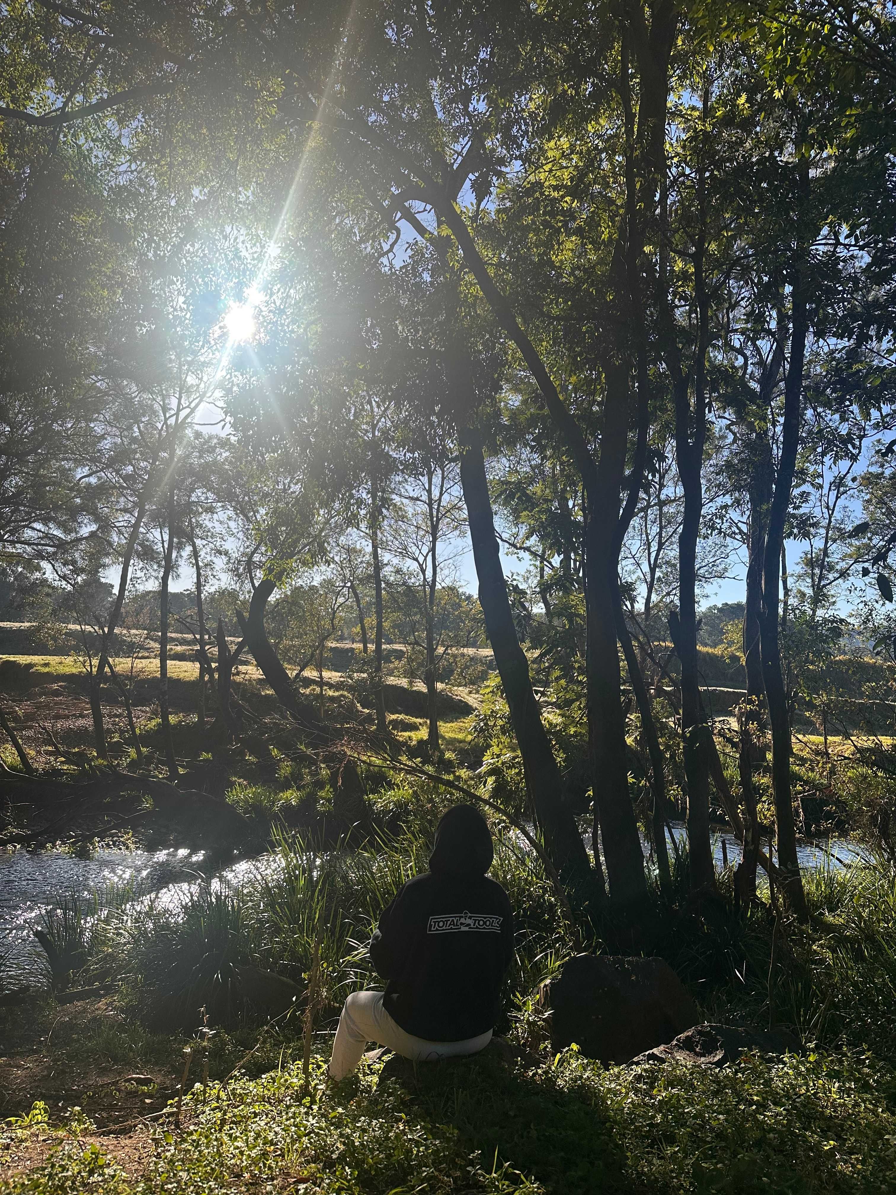 Koala Creek Camping
