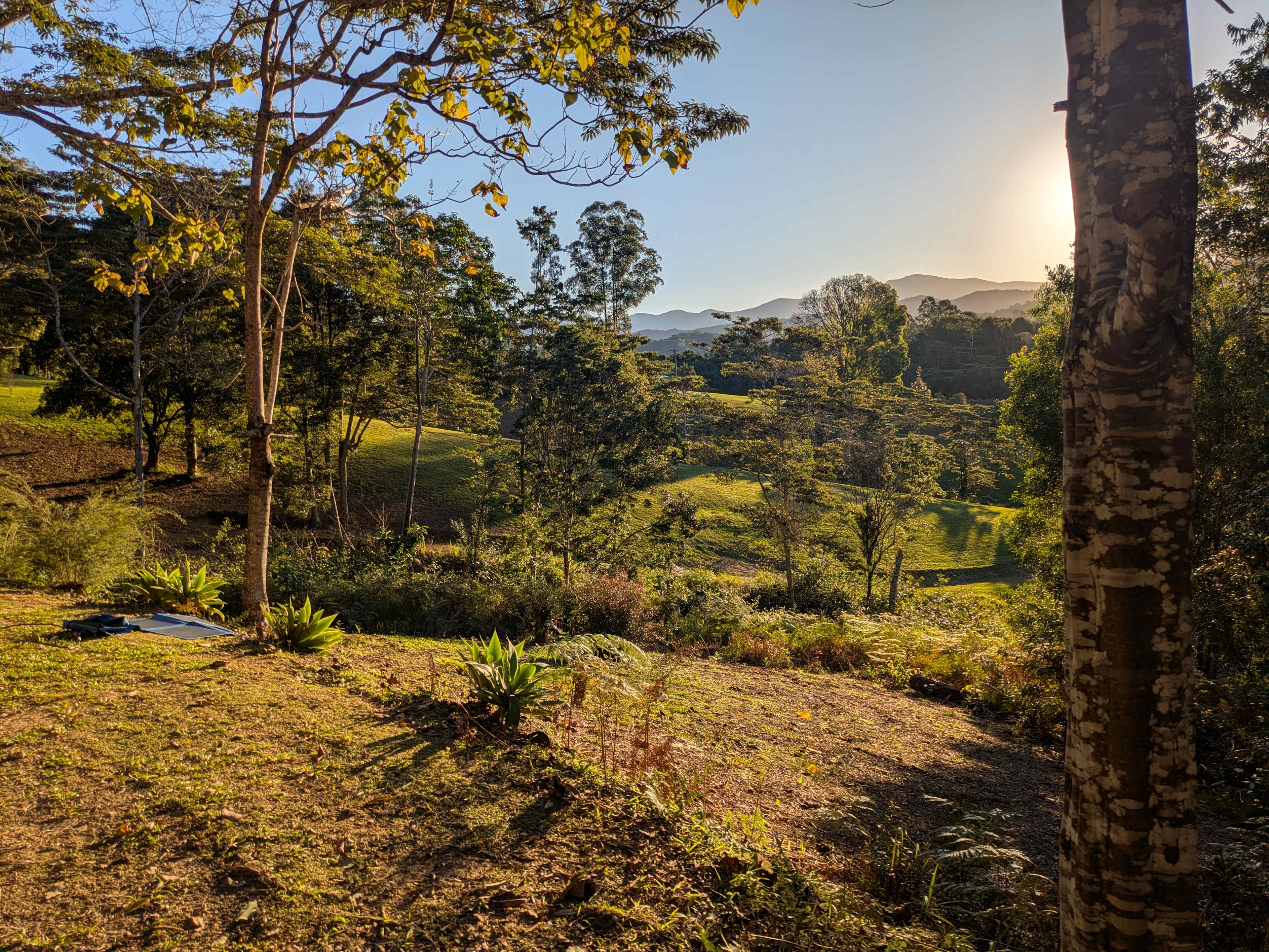 Sarah’s Farm🕊️ 4wd