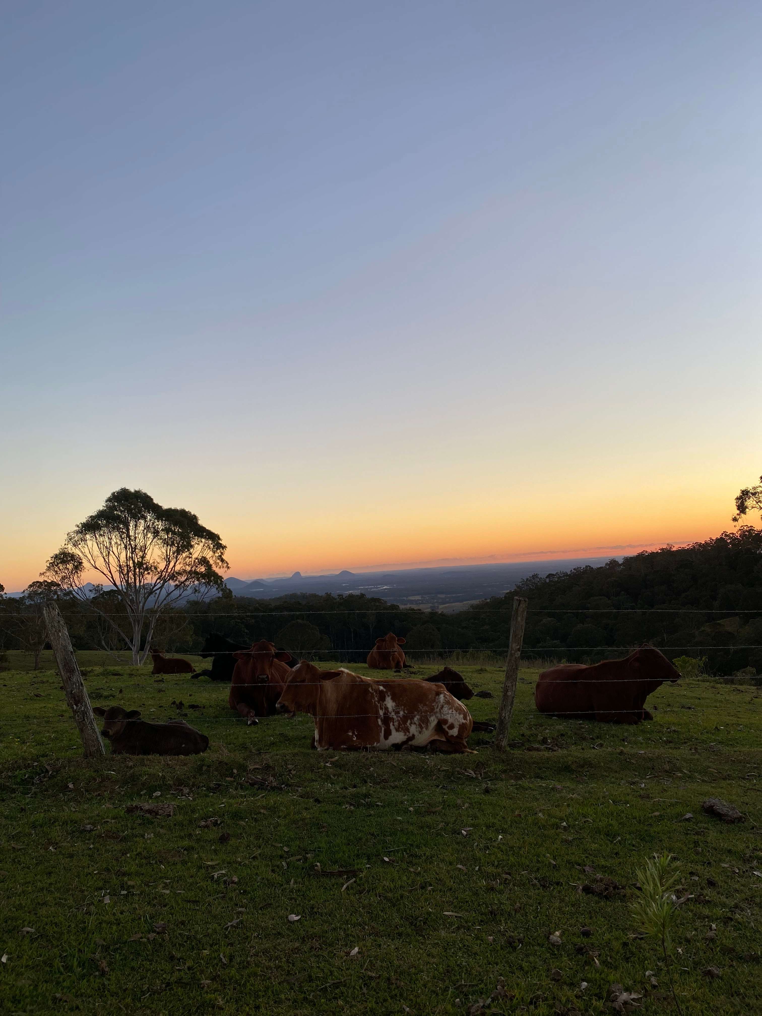 Rangetop Farm