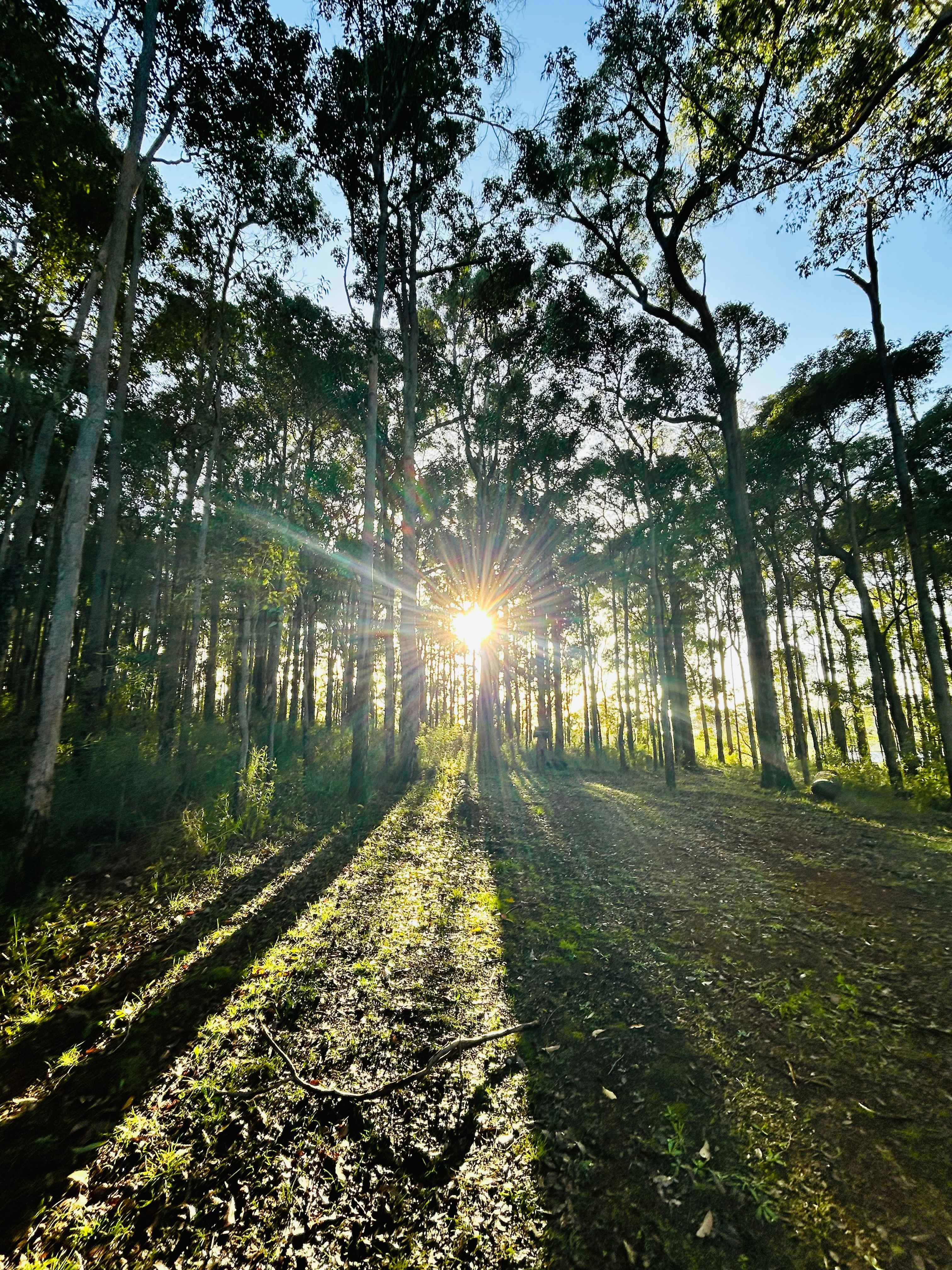 Highway Hideaway - Manjimup