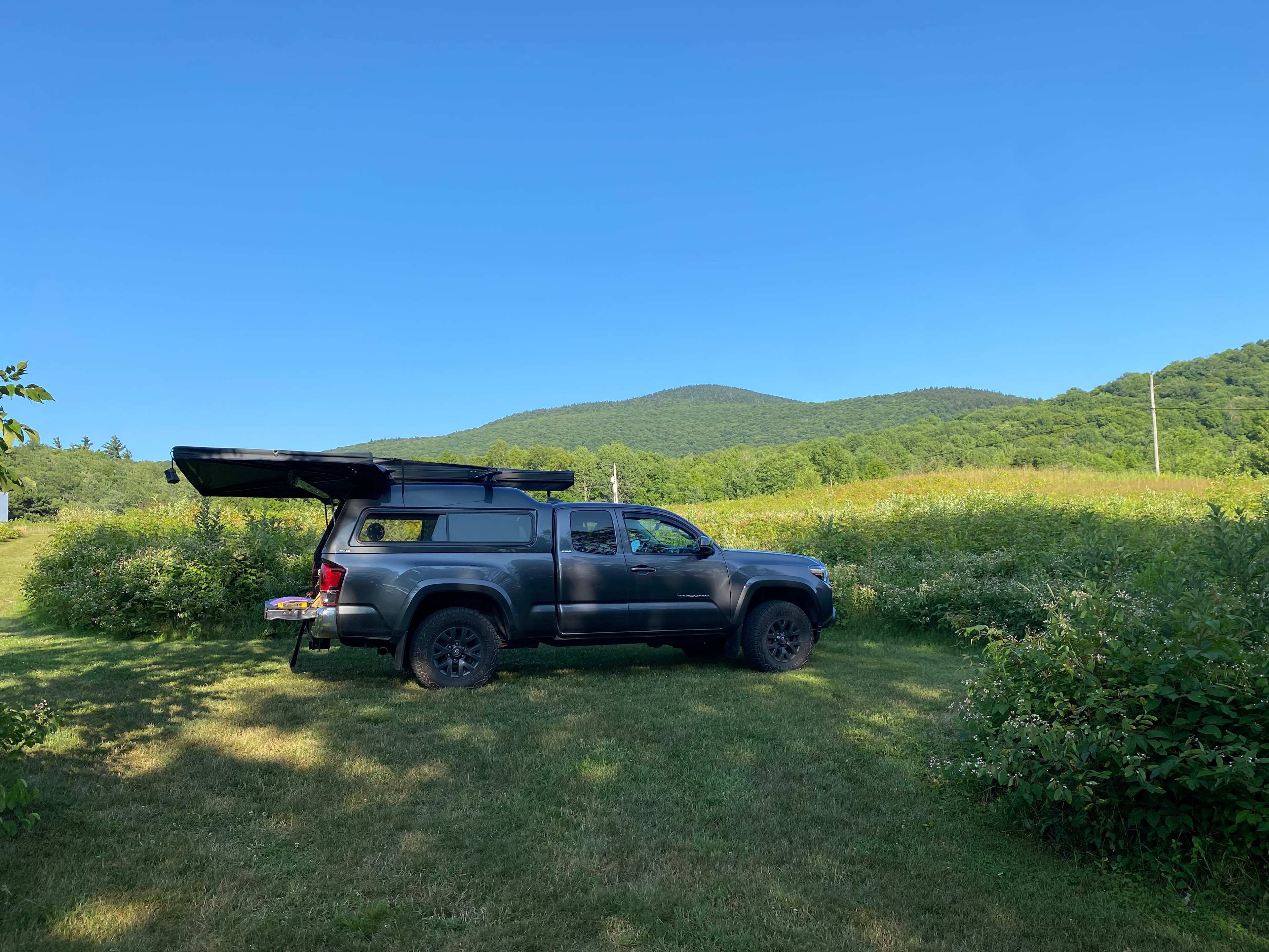BlueberryHill  Field Camp