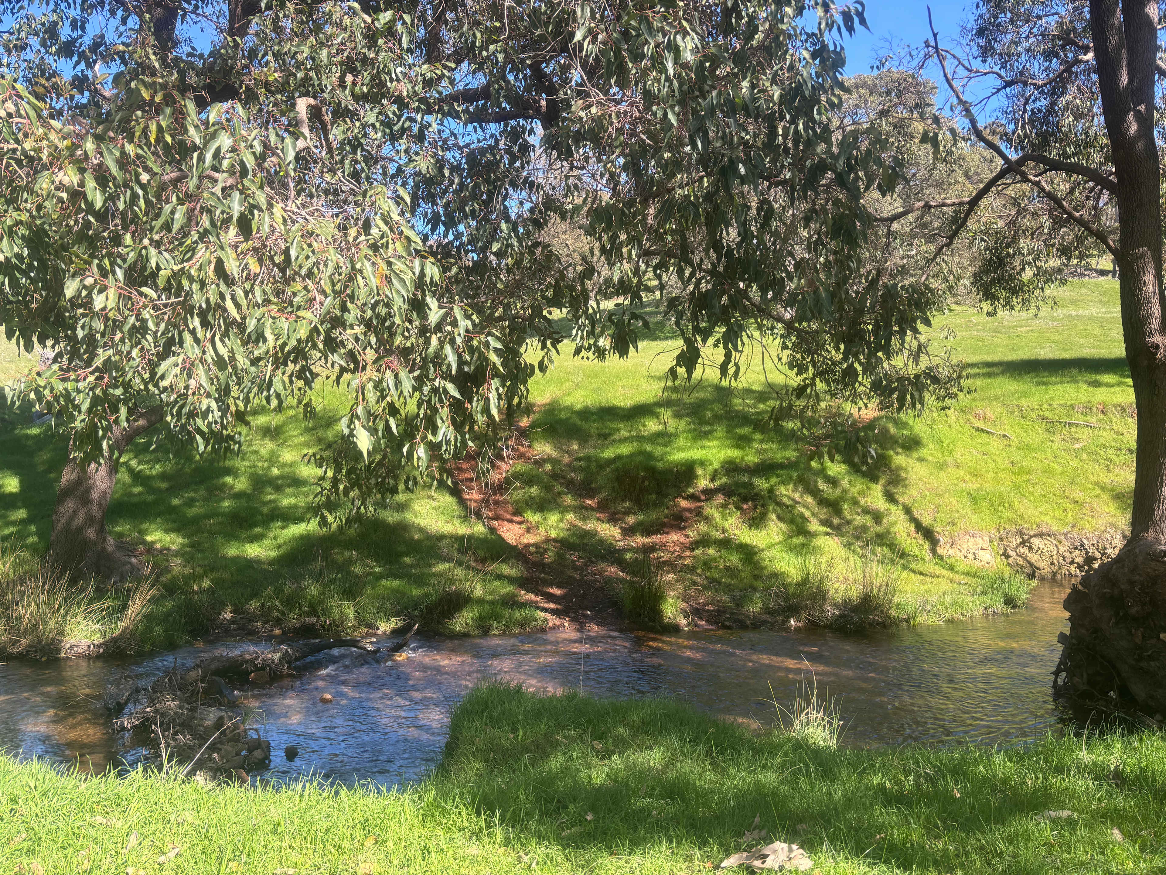 Bolinda Vale Farm