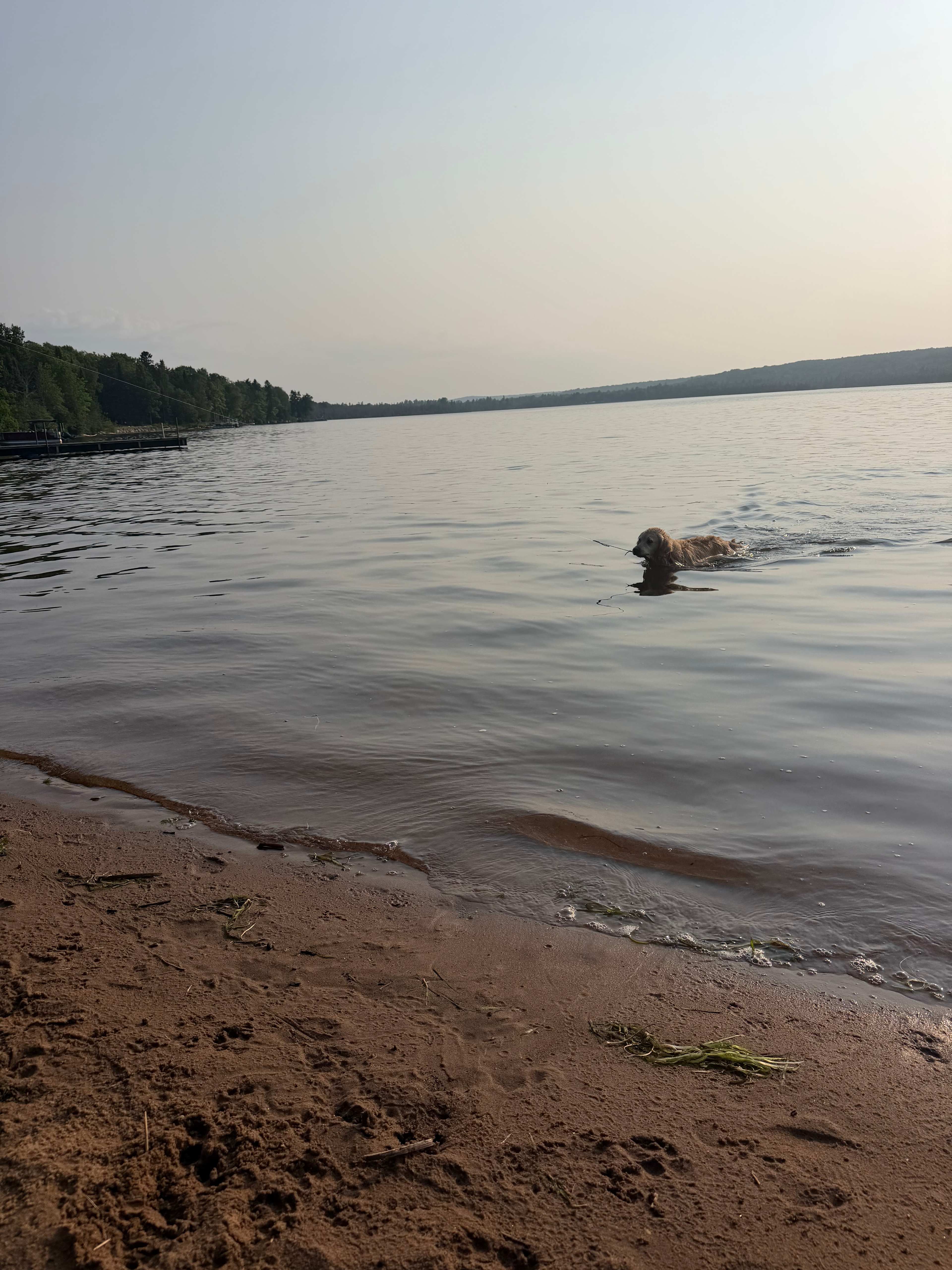 Private Wooded Camping on the Lake