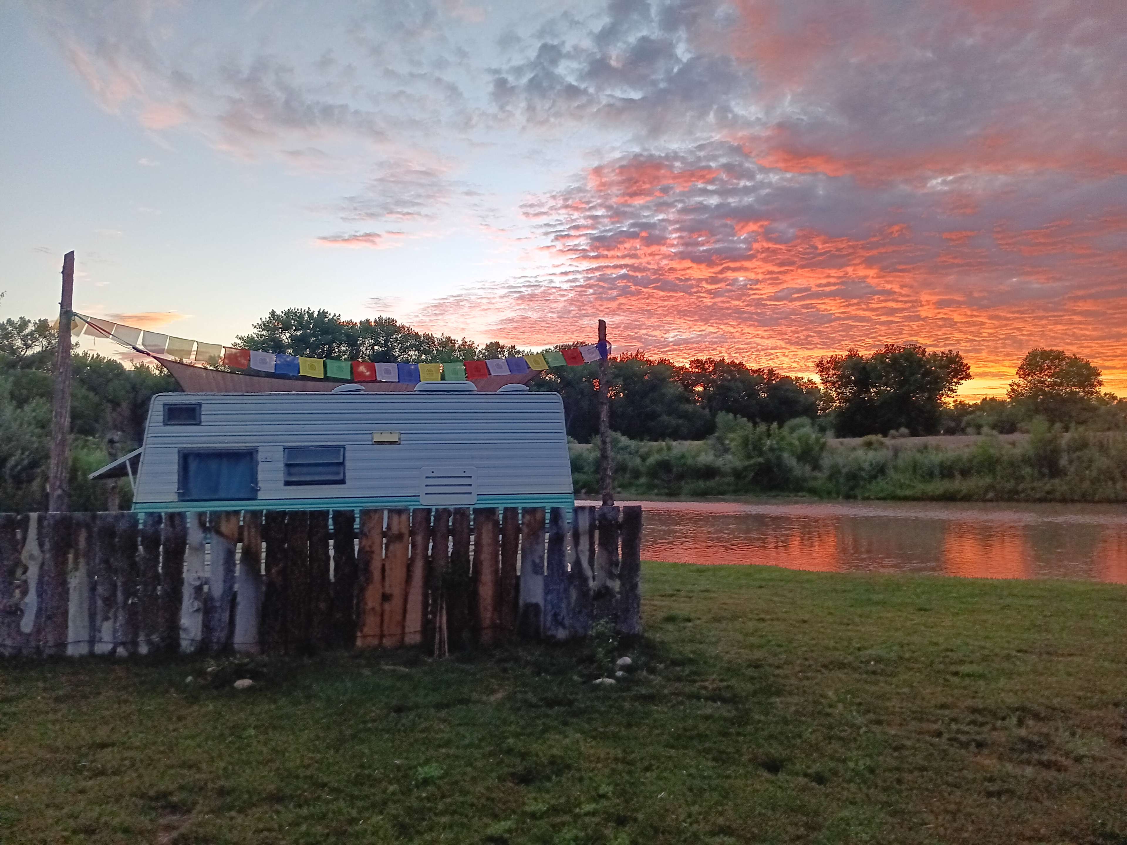 Blue Bird at sunrise