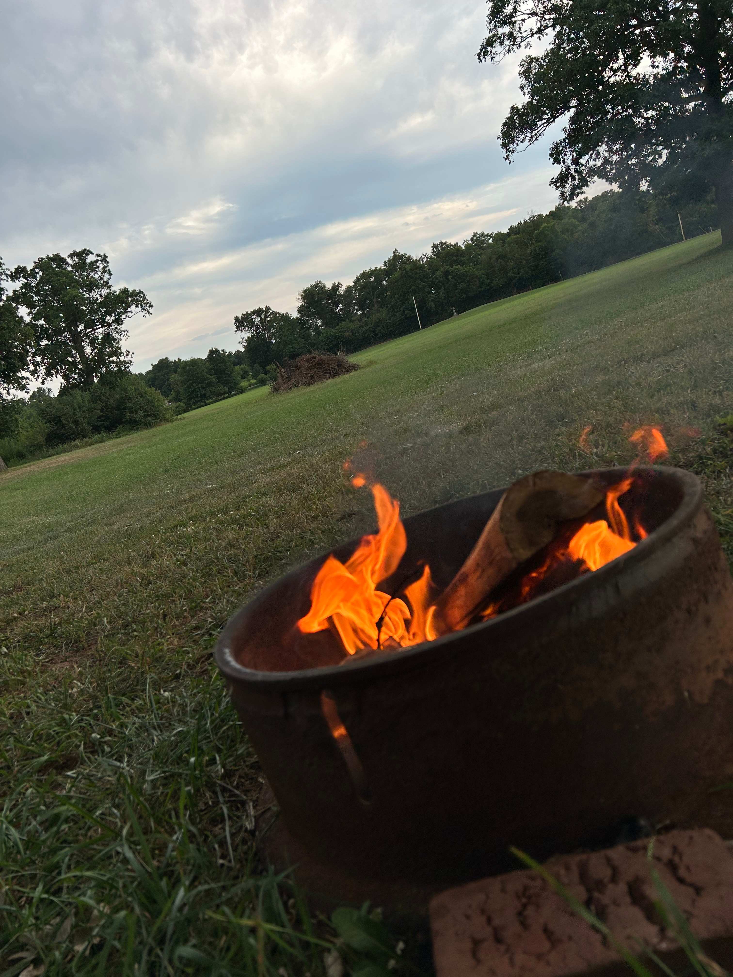 The Ponderosa