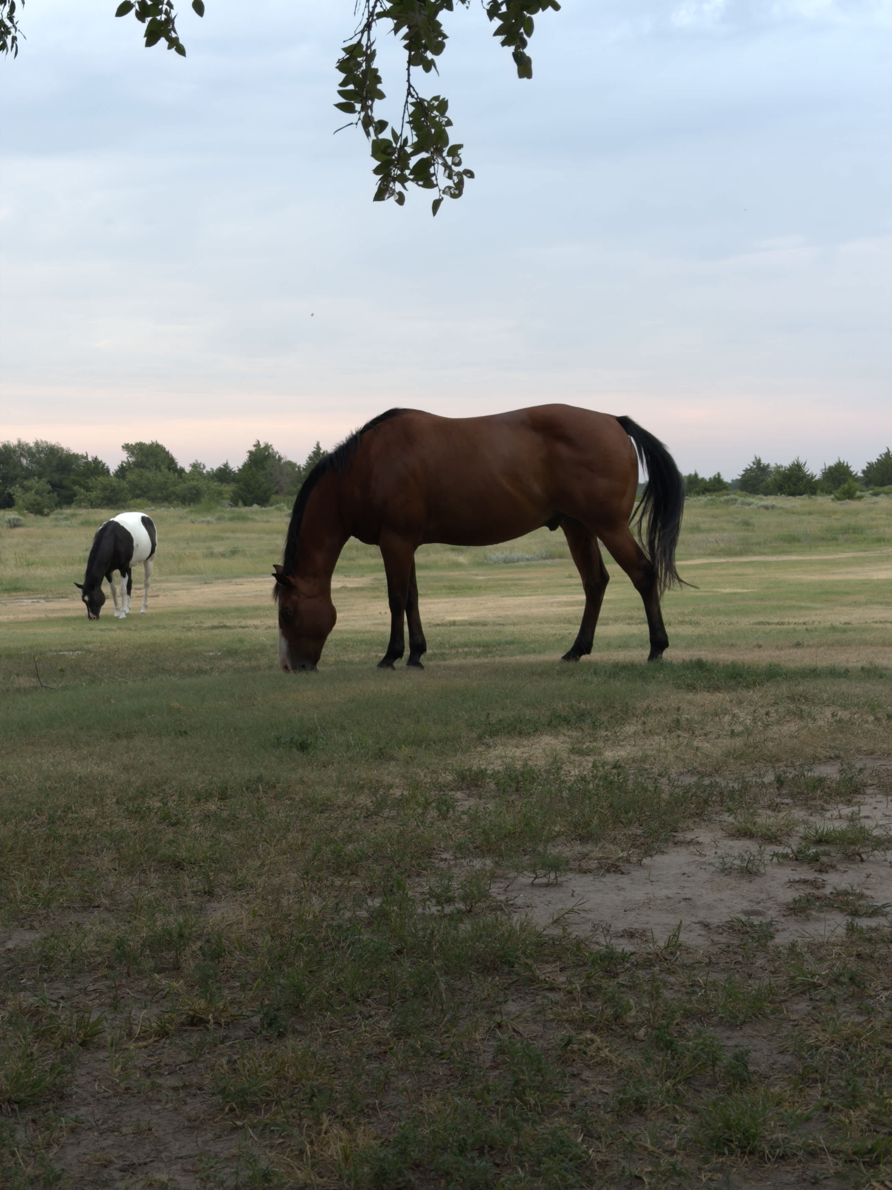 C2T Ranch on the Saline River