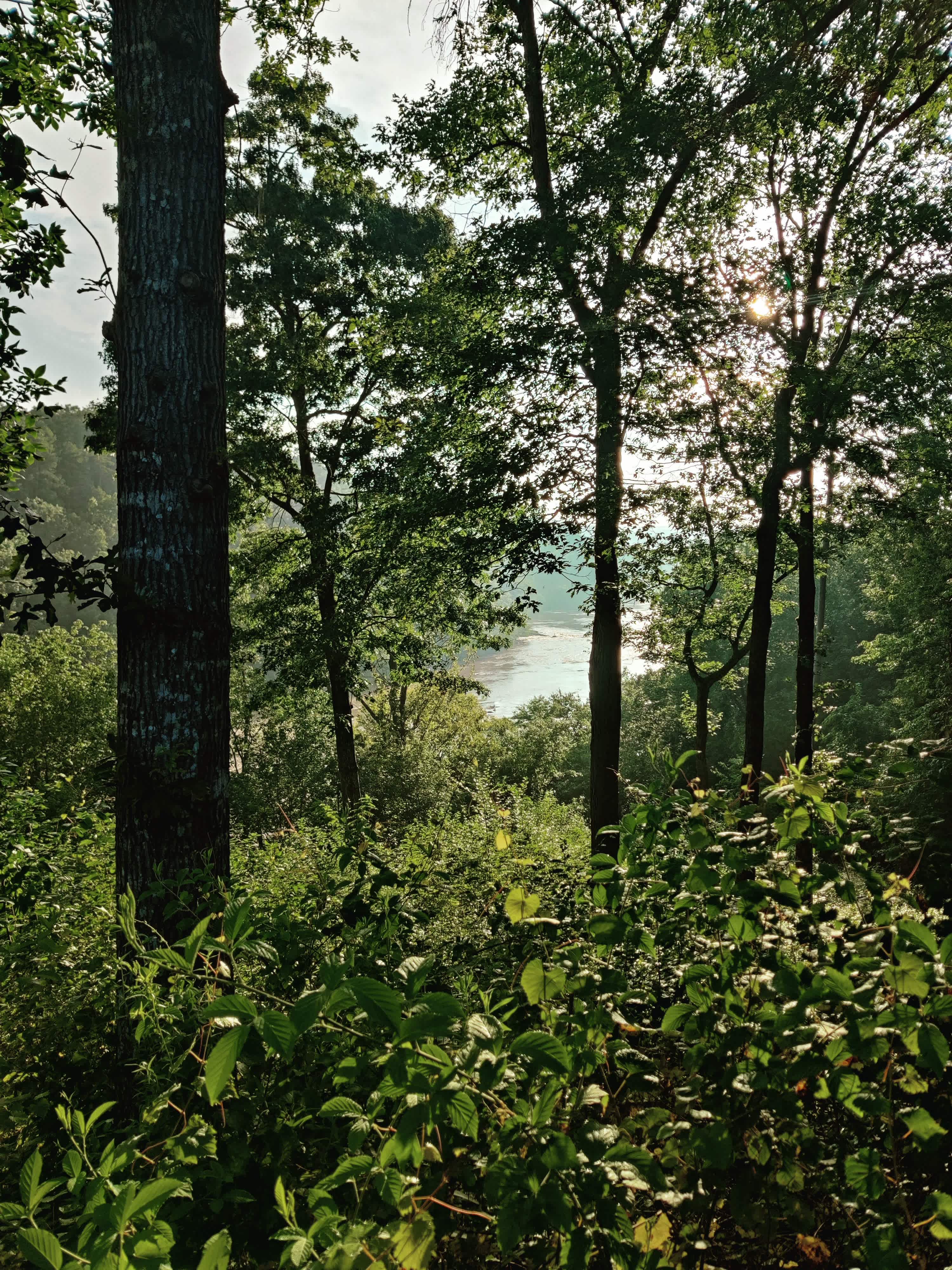 Broad River Retreat