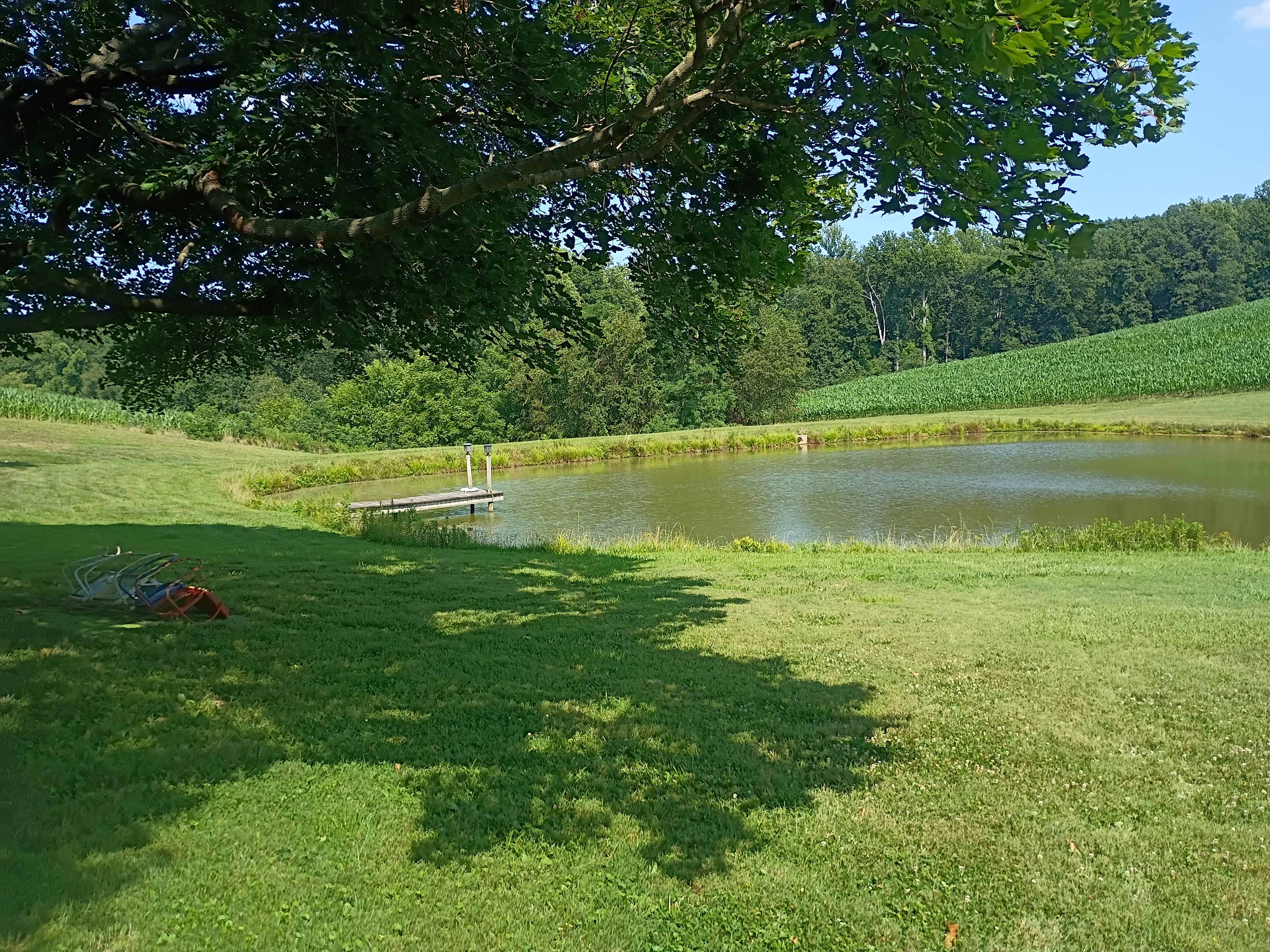 Views of woods, pond, and sunrise