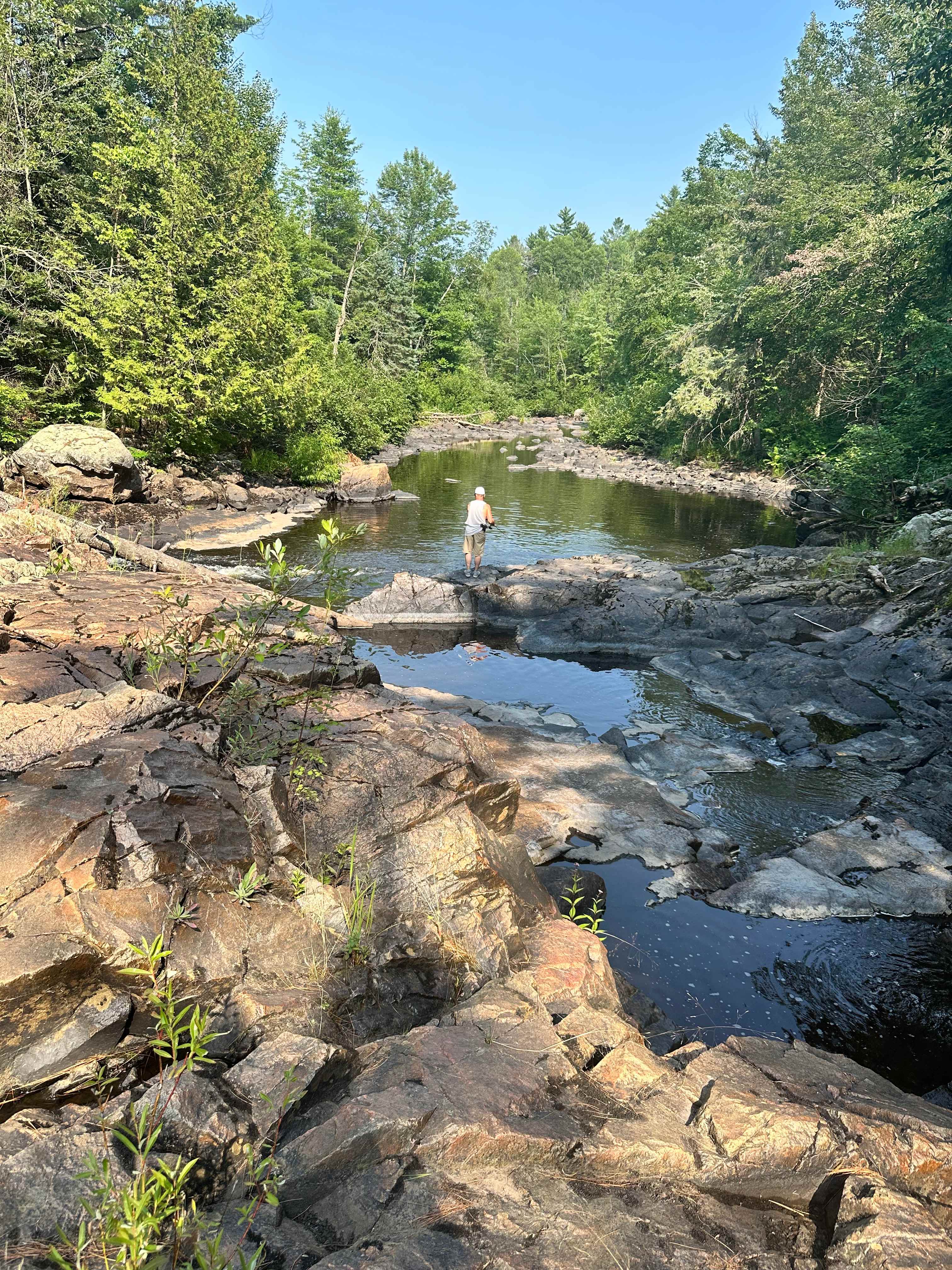 Bad River Wilderness