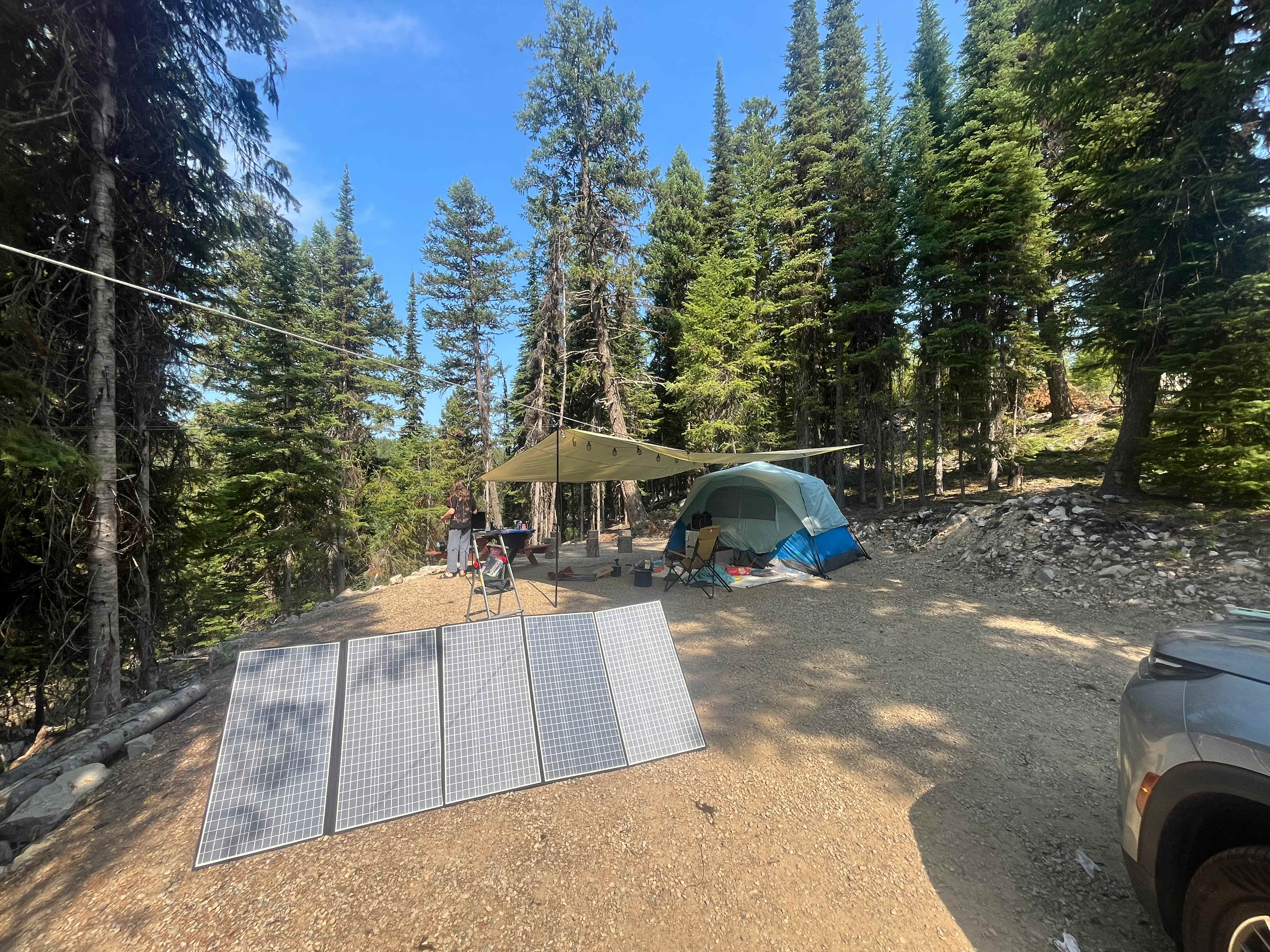Idabel Lake - Old Growth escape