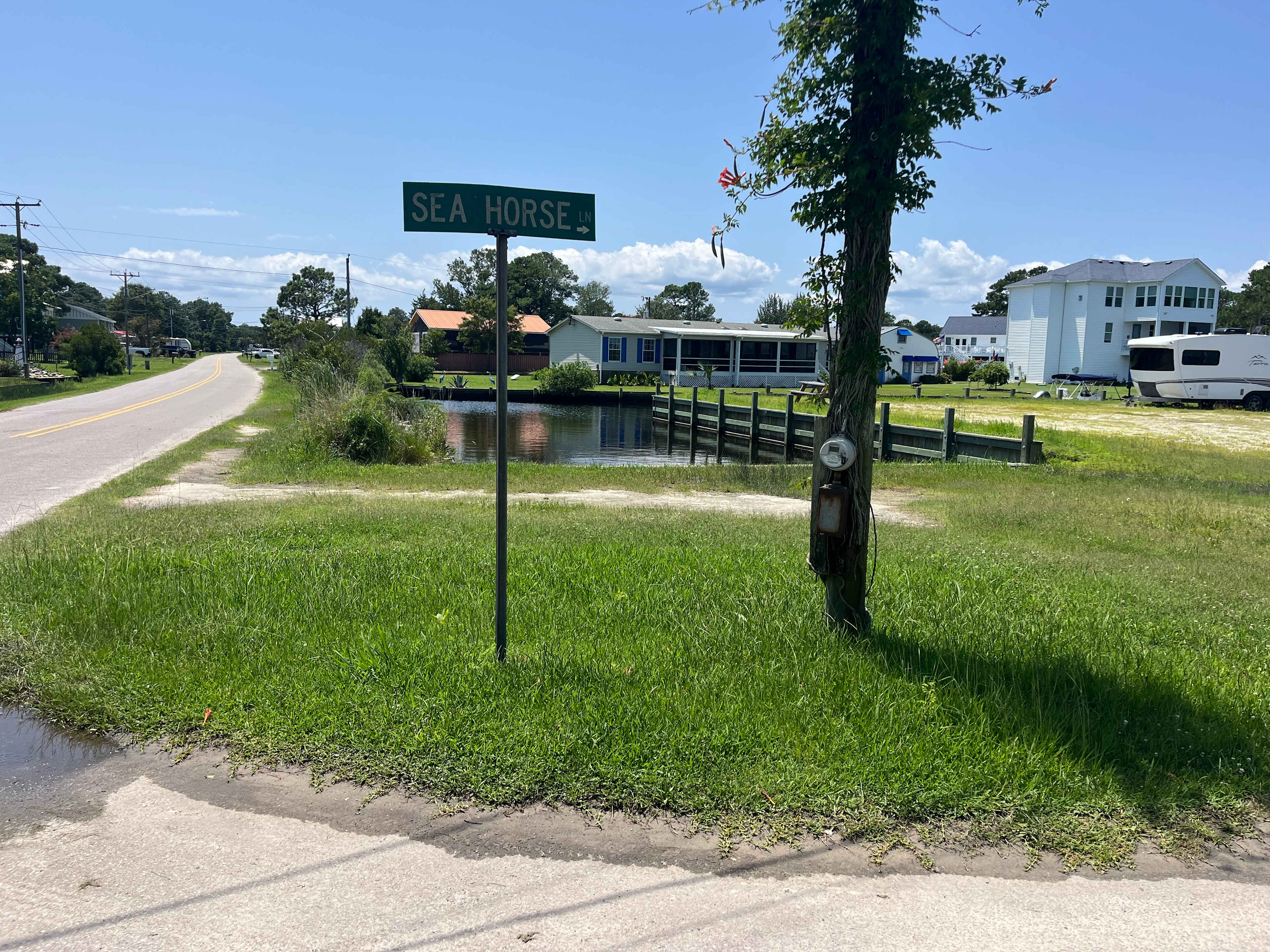 Picture of the site