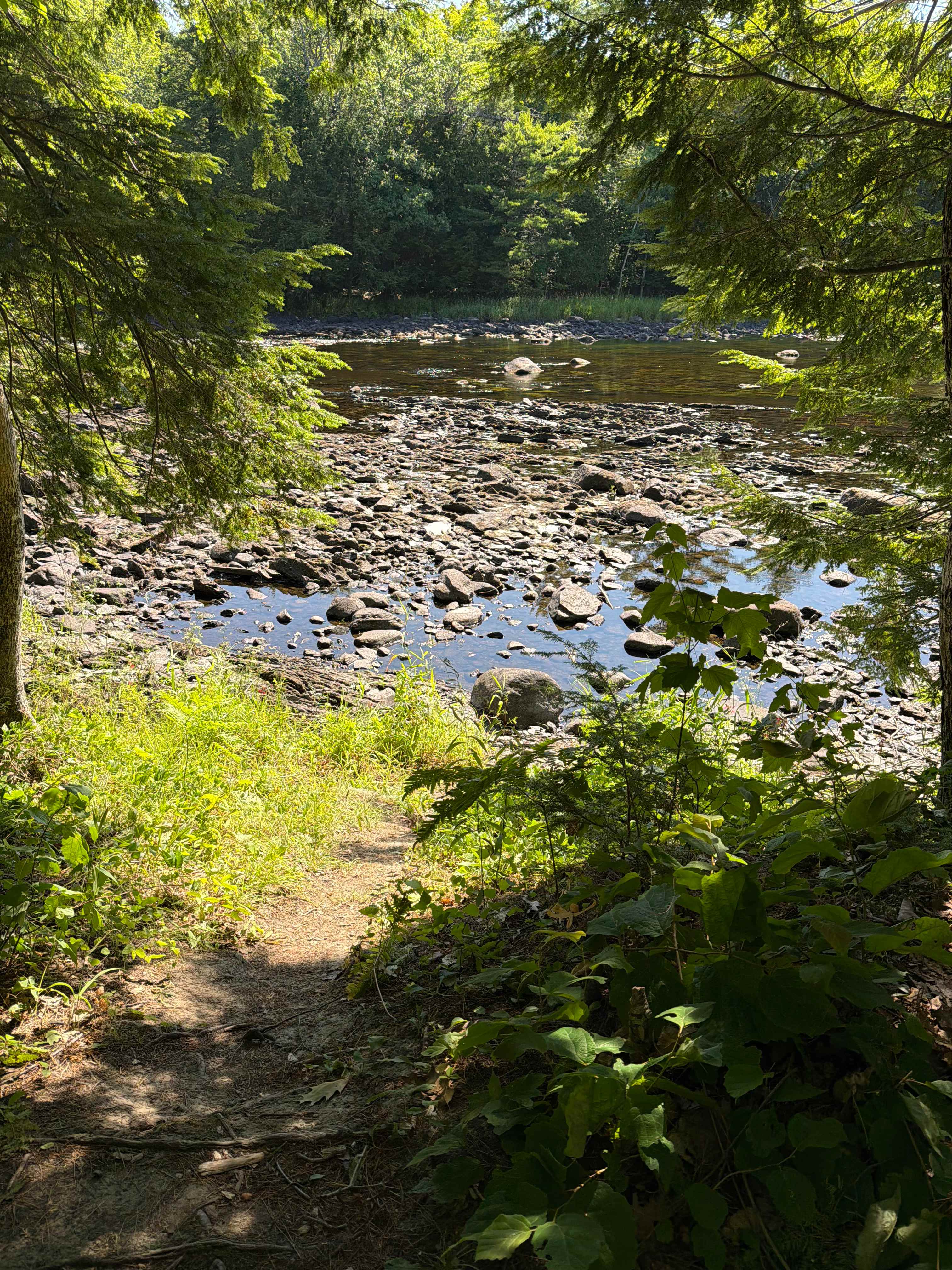 This is the direct access to the Sebasticook River on the river run Cove site