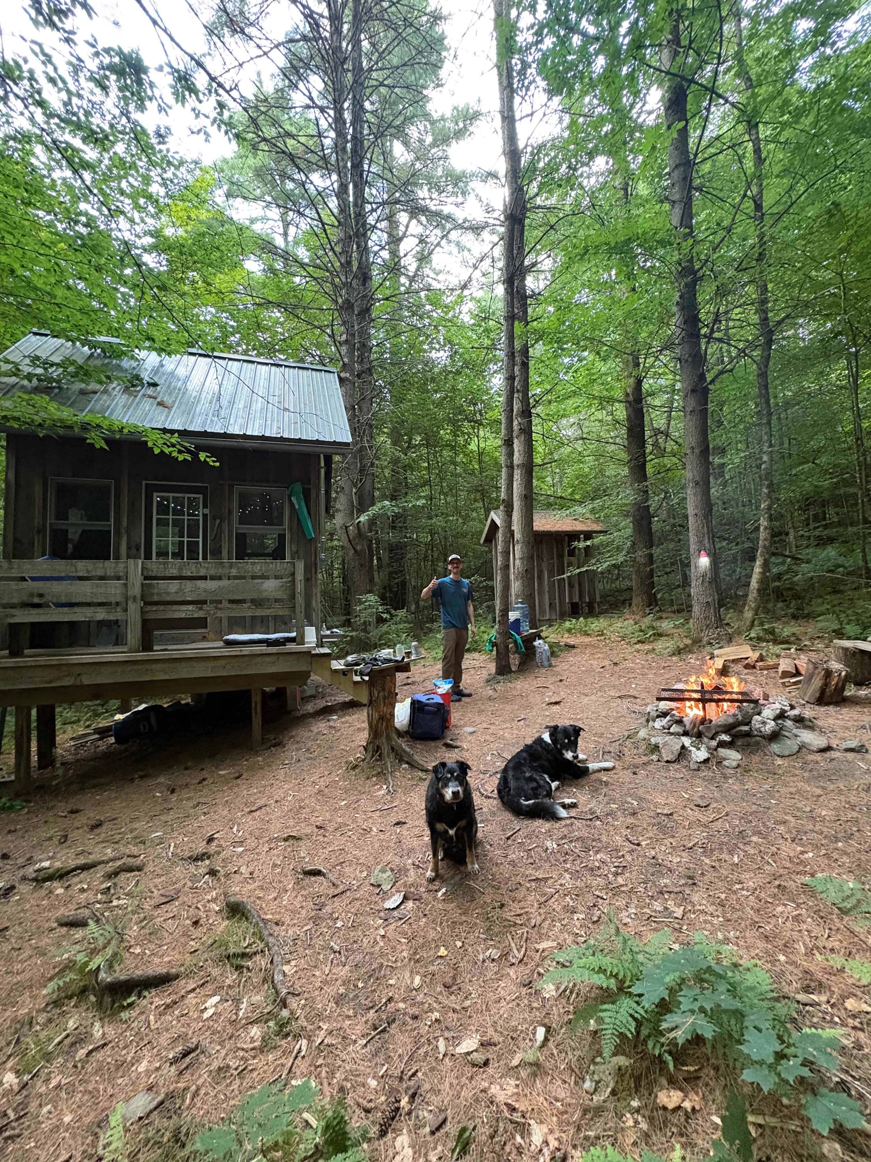 Oma's Cabin -A Quiet Forest Retreat