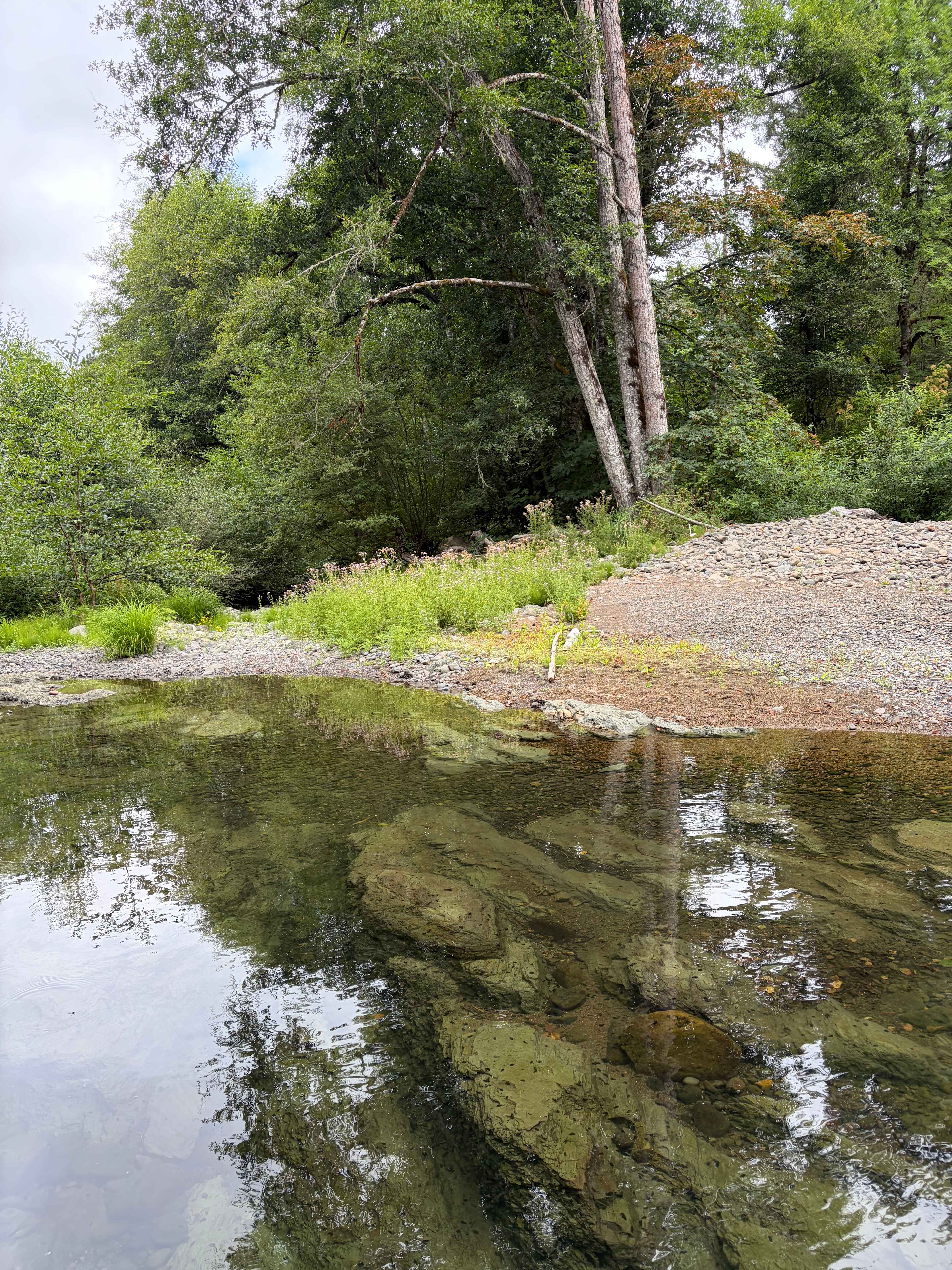 Paradise on Mill Creek