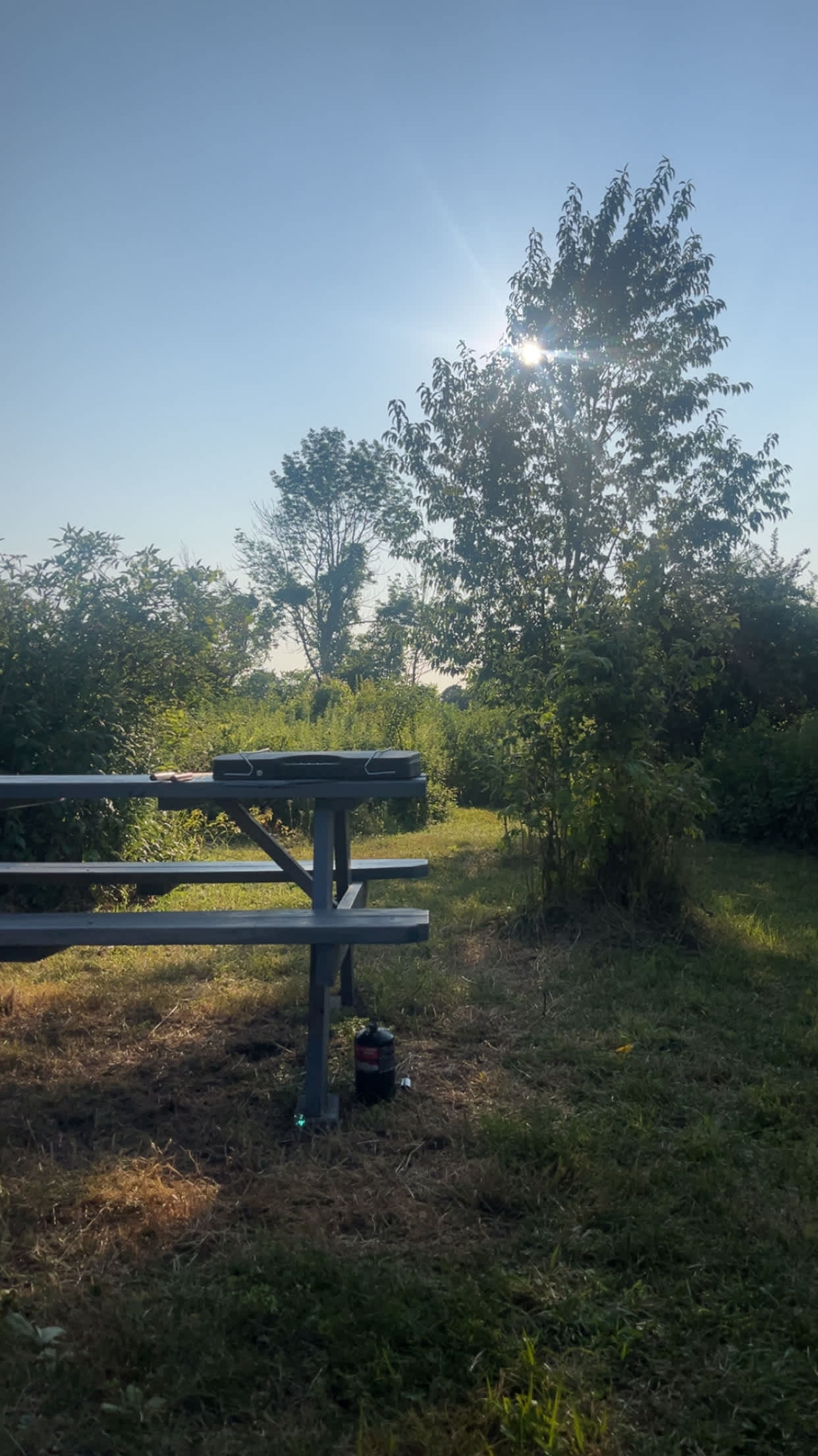Picture of the site