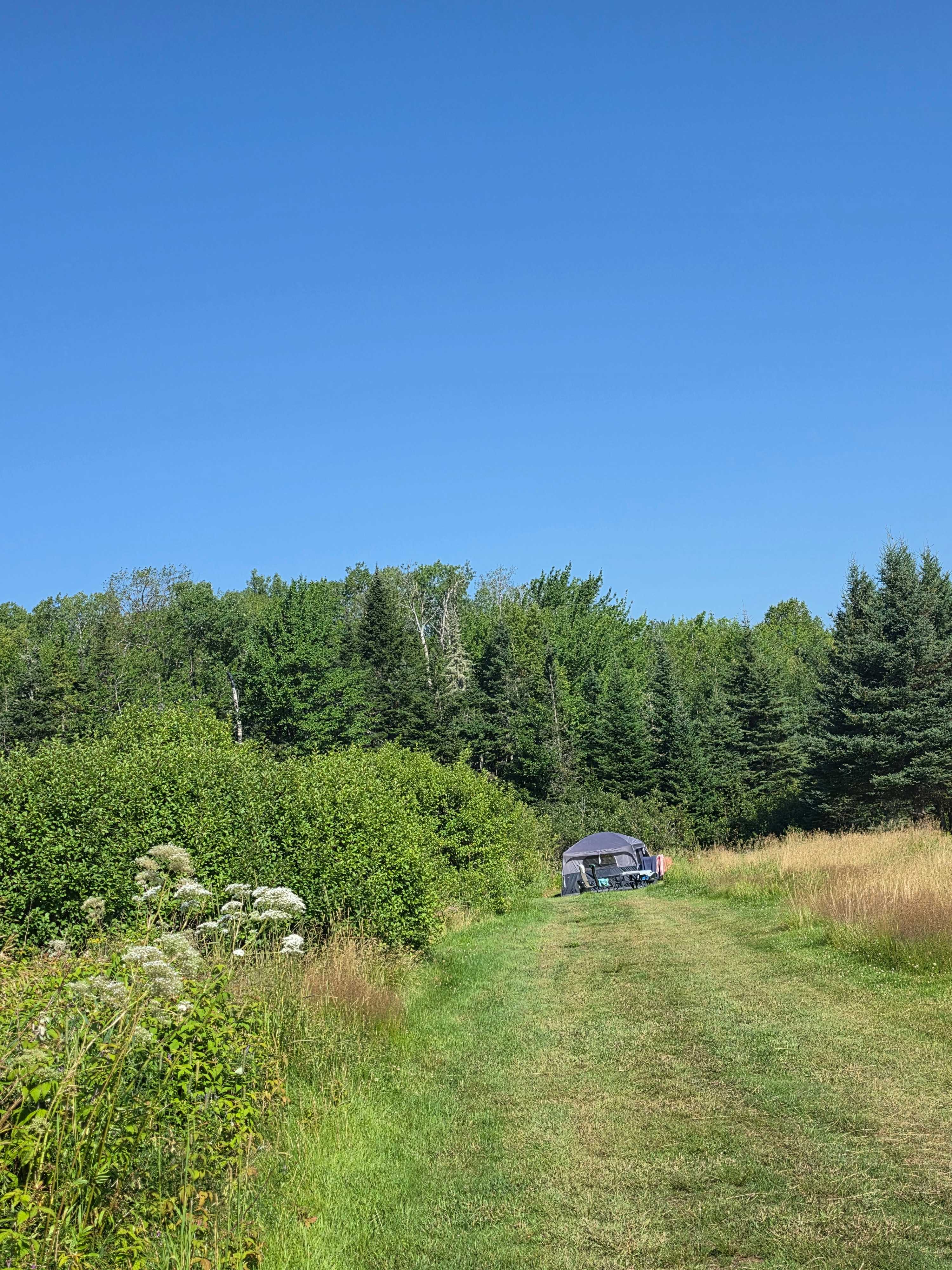 Kavanagh Farm camping
