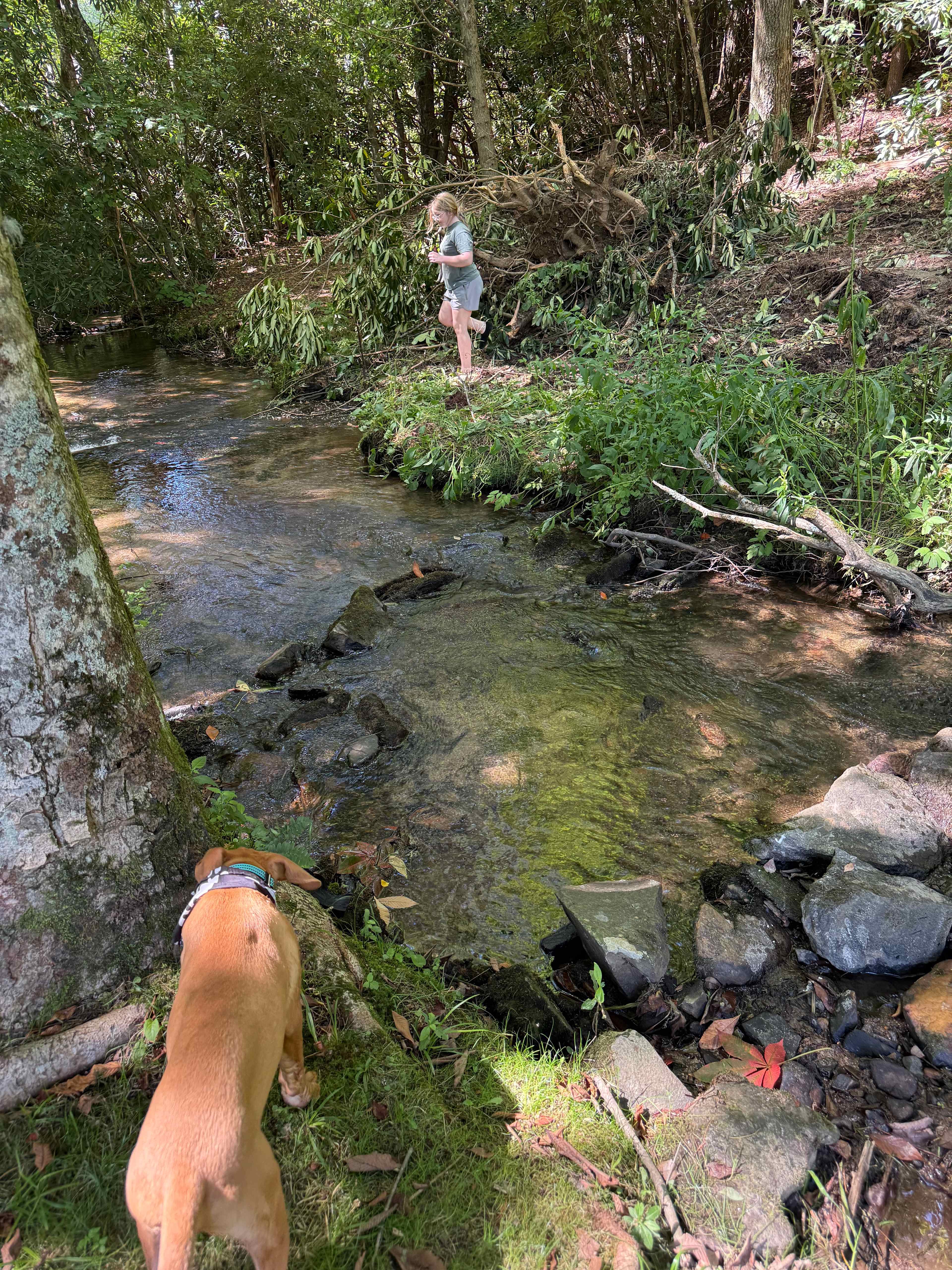 Blue Ridge Basecamp